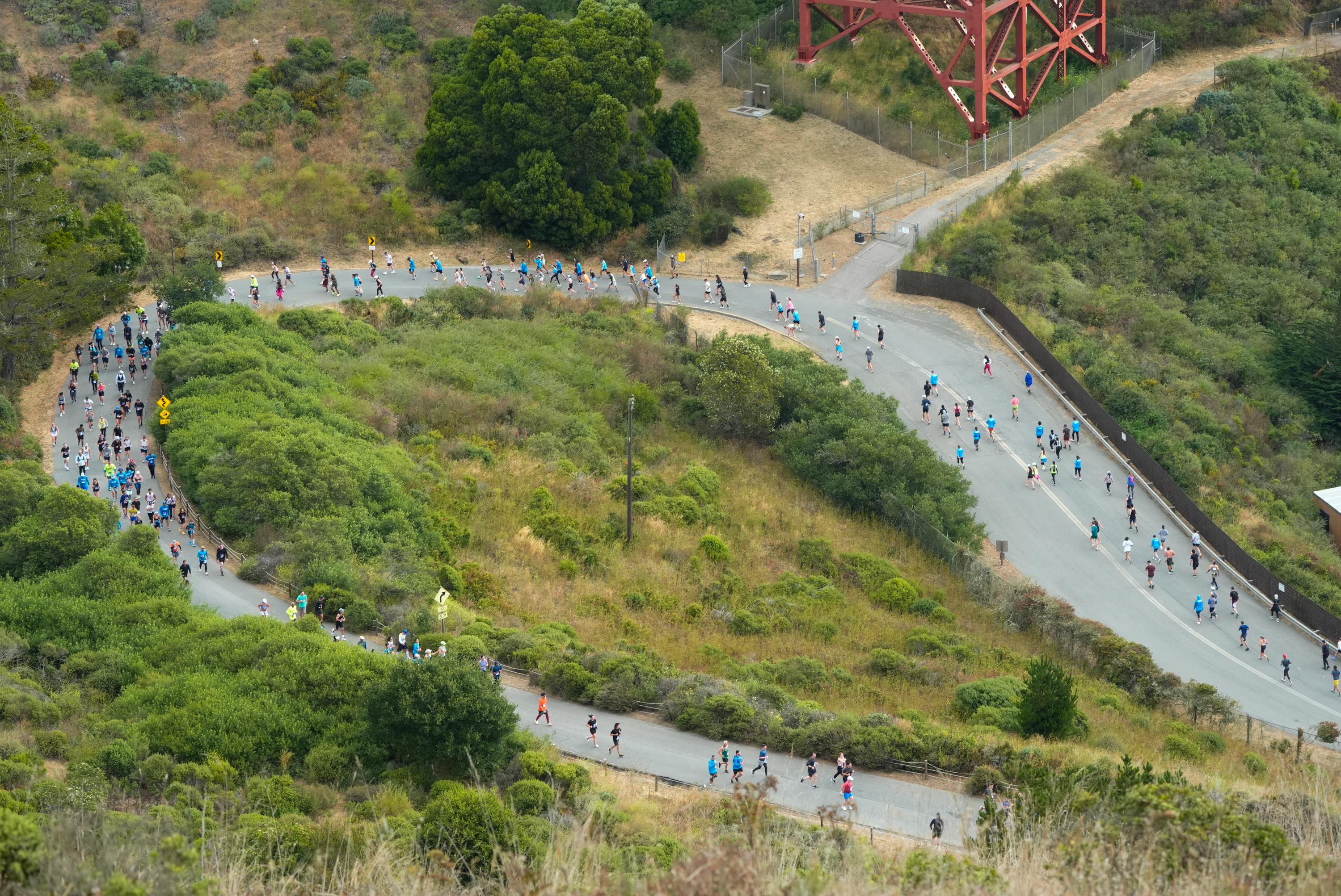 A large group of runners is navigating a winding road through a green, hilly landscape. The road curves sharply and is surrounded by dense, lush vegetation.