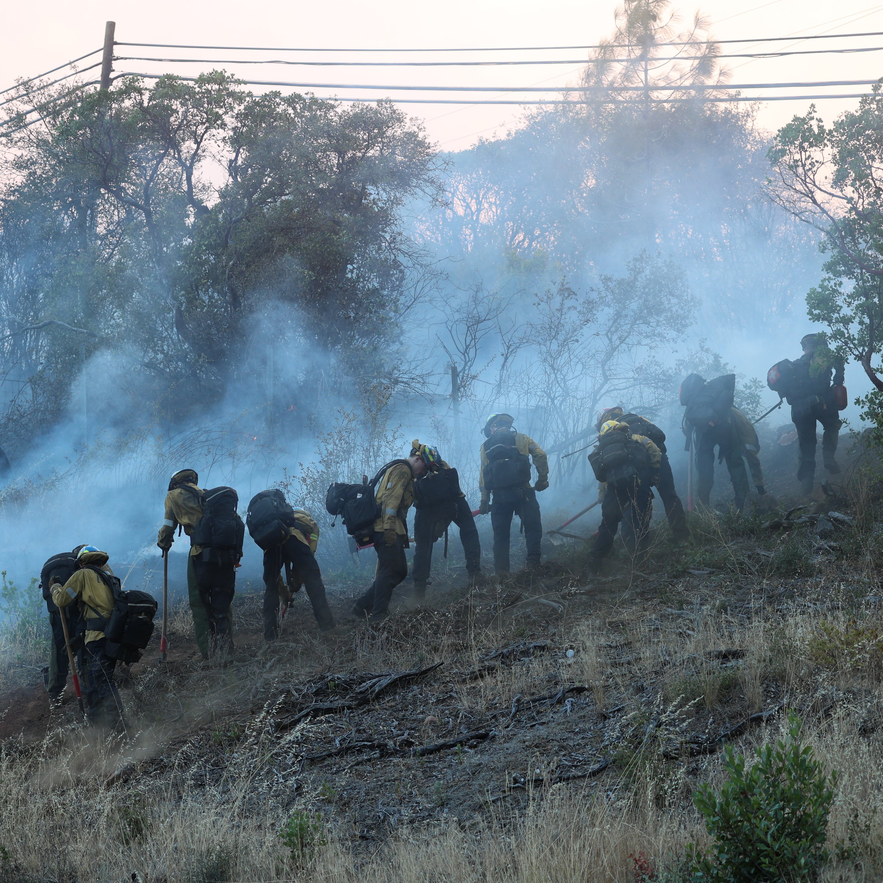 Wildland firefighters in protective gear work in a smoky, wooded area, digging and managing underbrush to control a fire.