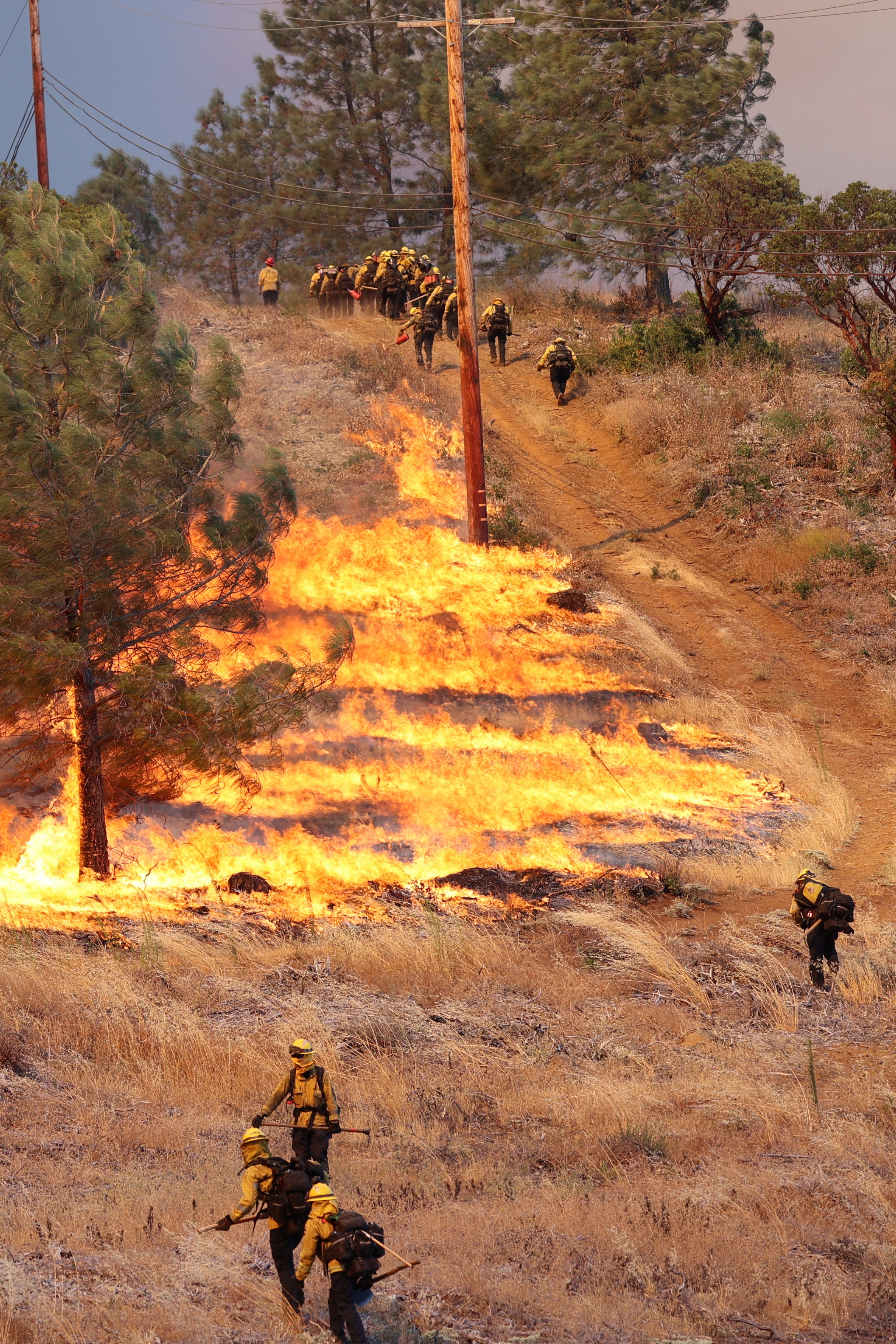 Firefighters in yellow suits work to contain a large wildfire on a grassy, tree-dotted hillside, with flames consuming vegetation and trees and smoke billowing above.