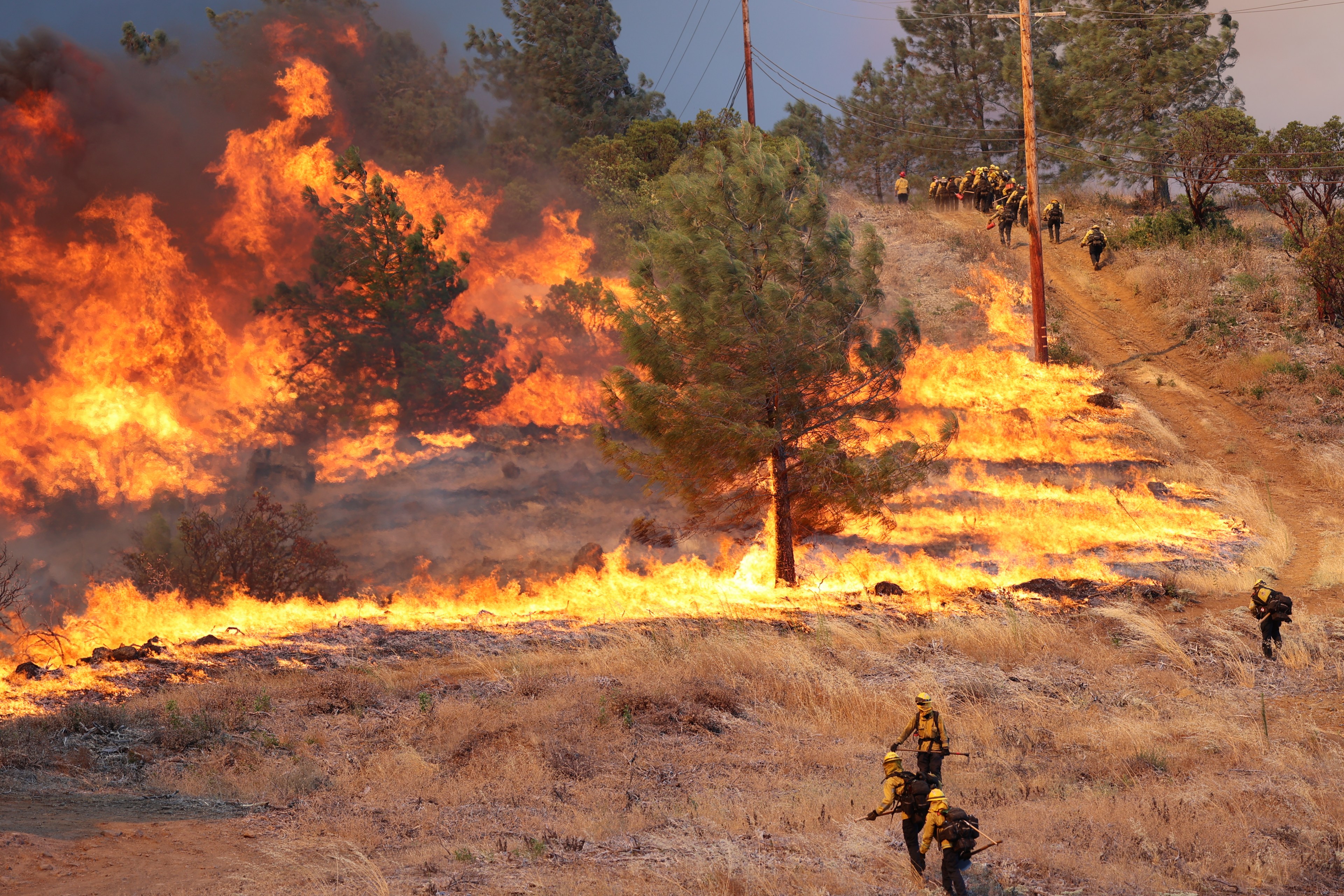 Firefighters in yellow suits work to contain a large wildfire on a grassy, tree-dotted hillside, with flames consuming vegetation and trees and smoke billowing above.