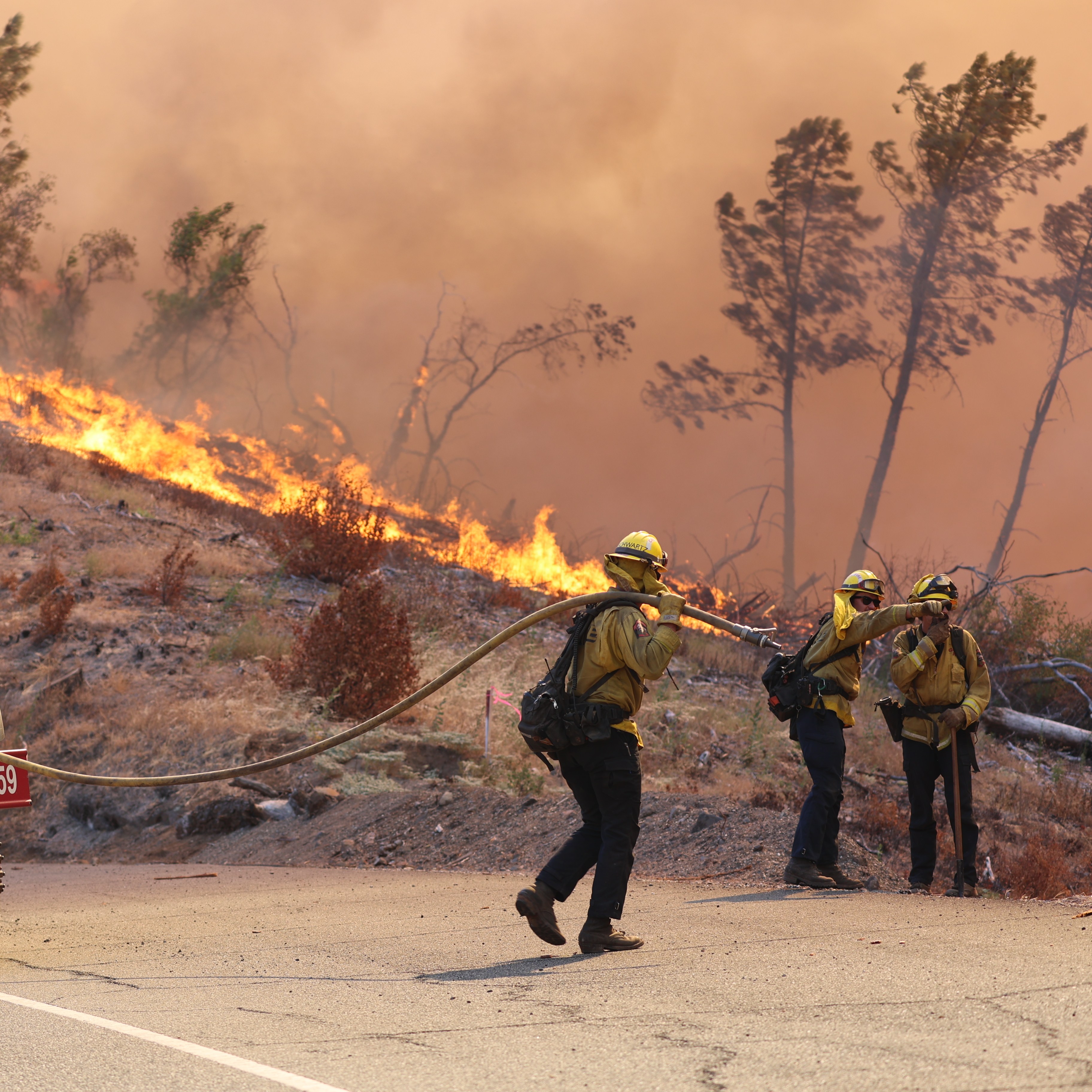 Three firefighters pull a hose from a red fire truck towards a hillside ablaze, with flames and smoke engulfing dry vegetation and surrounding trees.