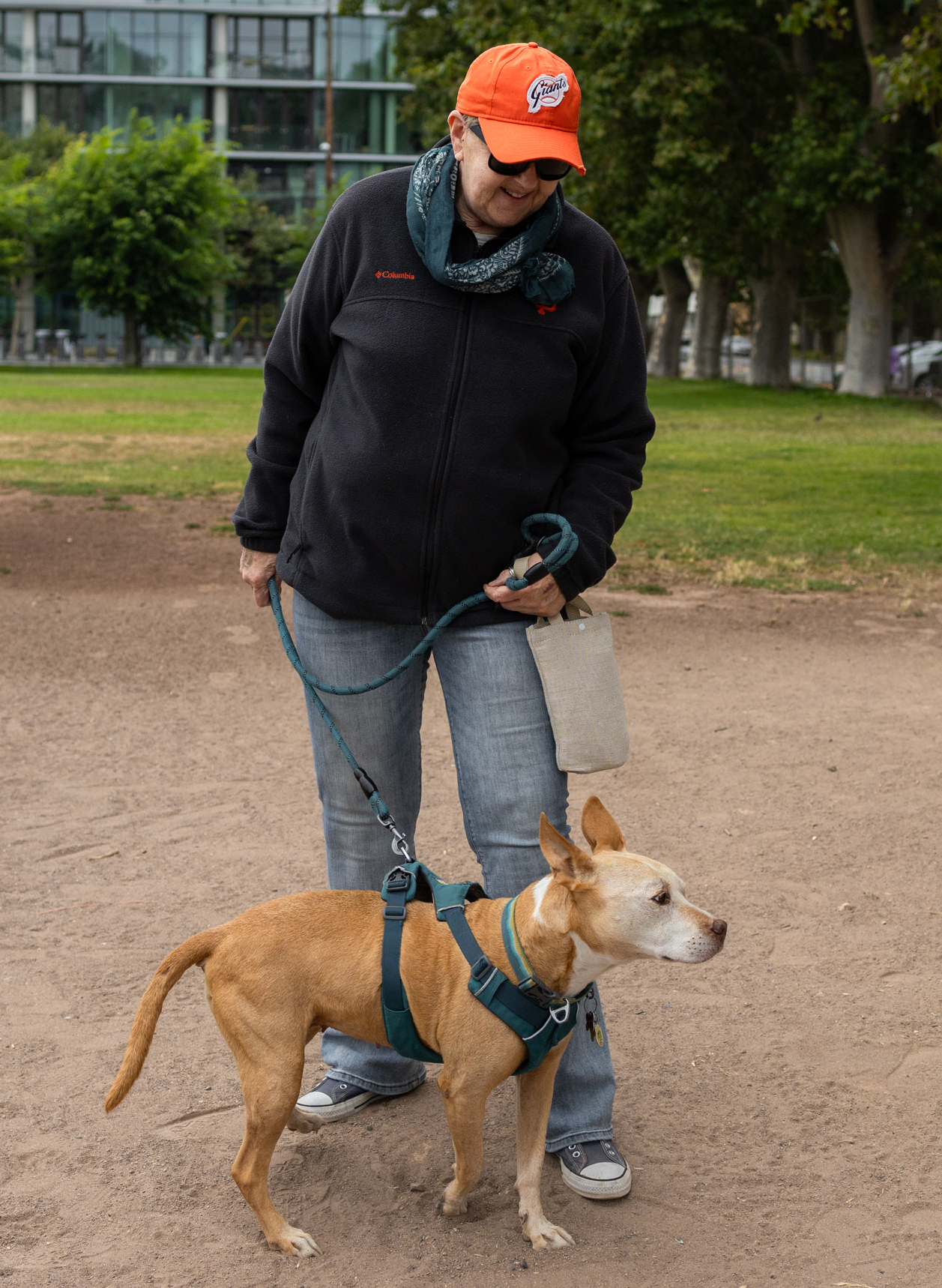 A person wearing a black jacket, jeans, and an orange cap is standing on a dirt path, holding a leash attached to a brown dog wearing a teal harness. Trees and a building are in the background.