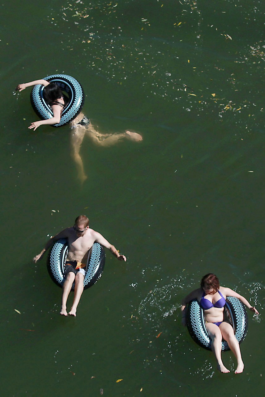 Five people are floating on round inflatable tubes in a body of water, and one person is seen underwater using an inflatable dolphin. The water has some leaves and debris.
