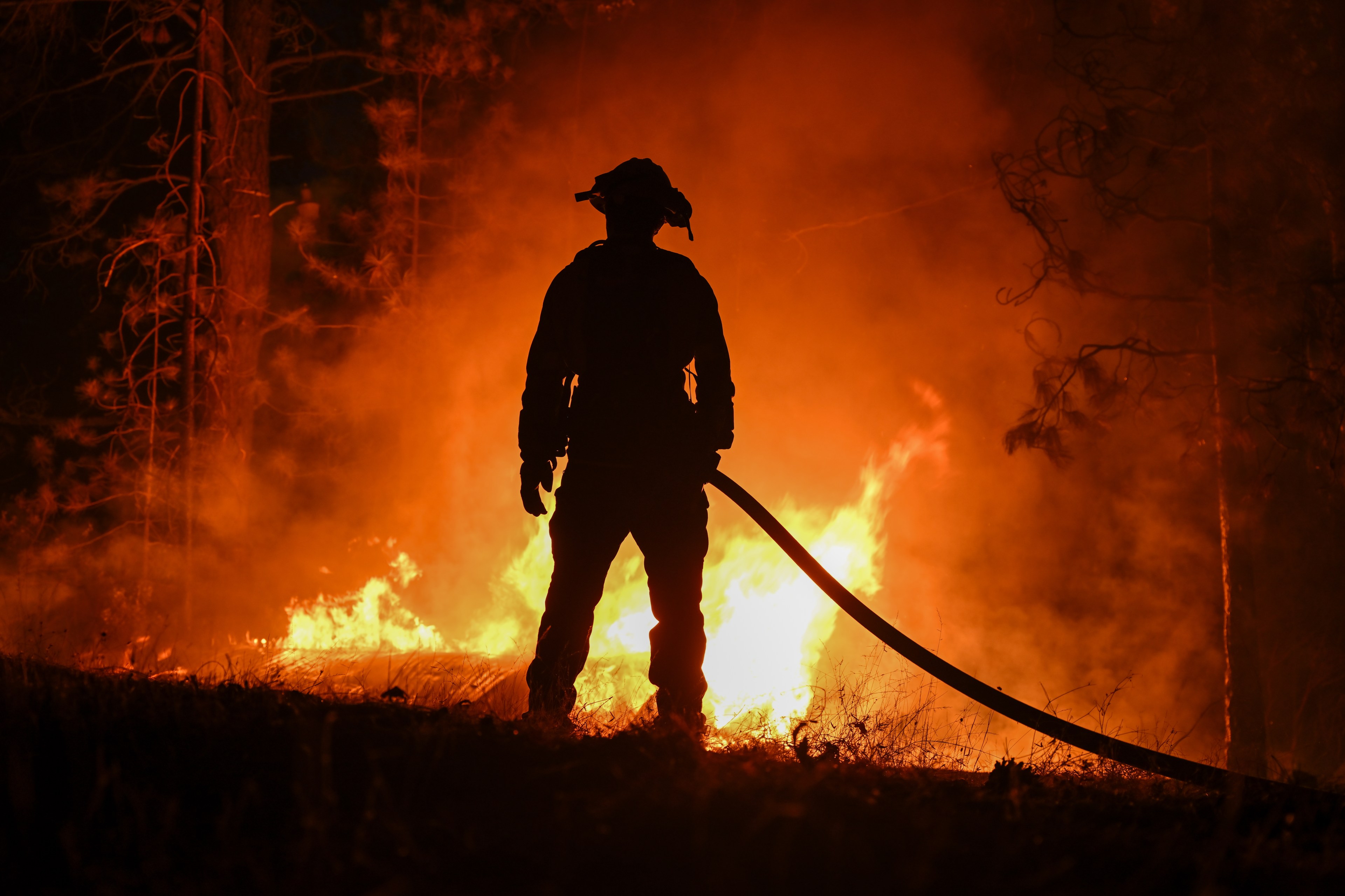 A firefighter stands in silhouette against a raging forest fire, holding a hose, with flames and smoke illuminating the night around them.