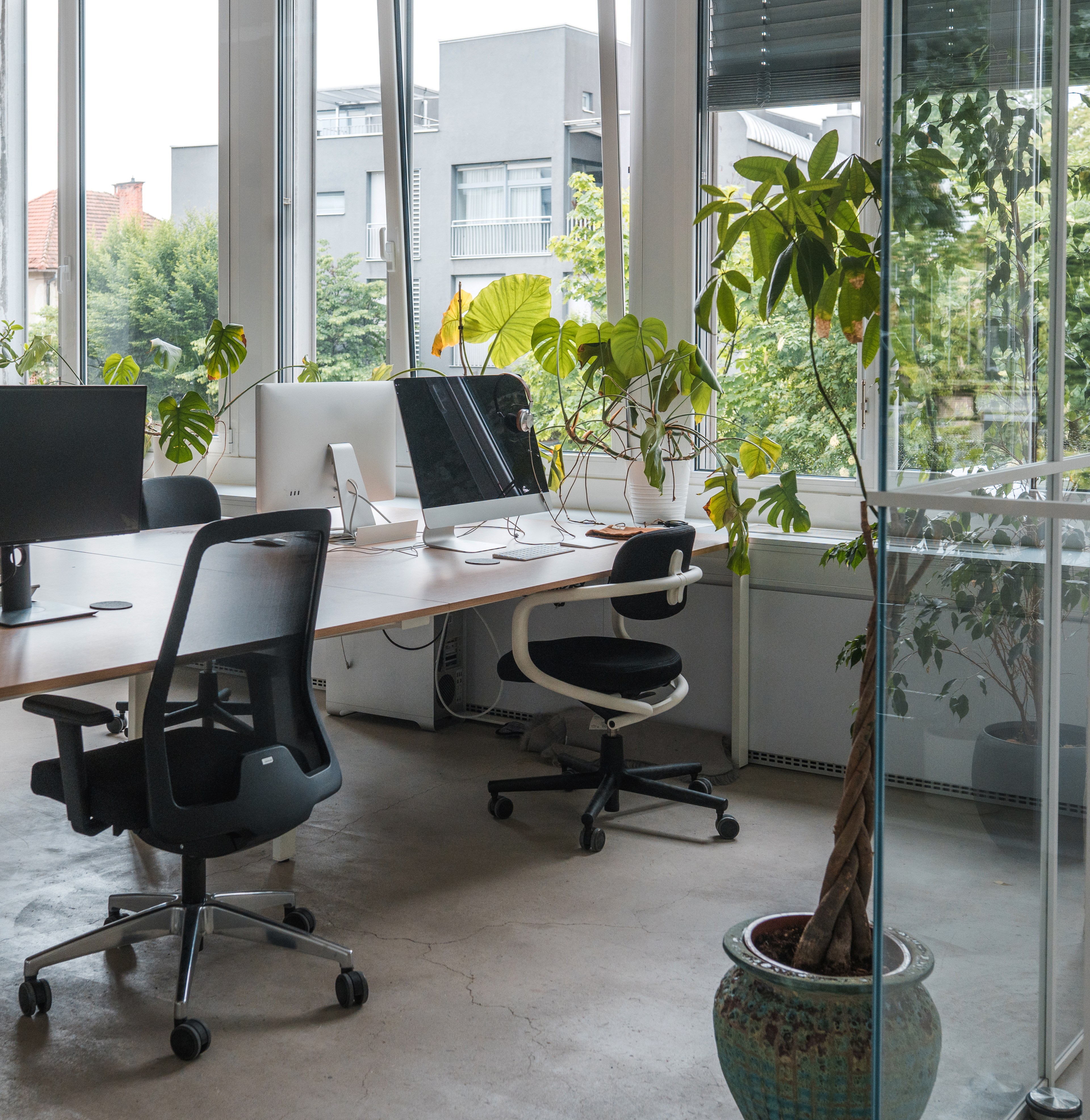 The image shows a modern office space with several computer desks, ergonomic chairs, large windows, and numerous green plants, giving it a bright, airy, and natural feel.