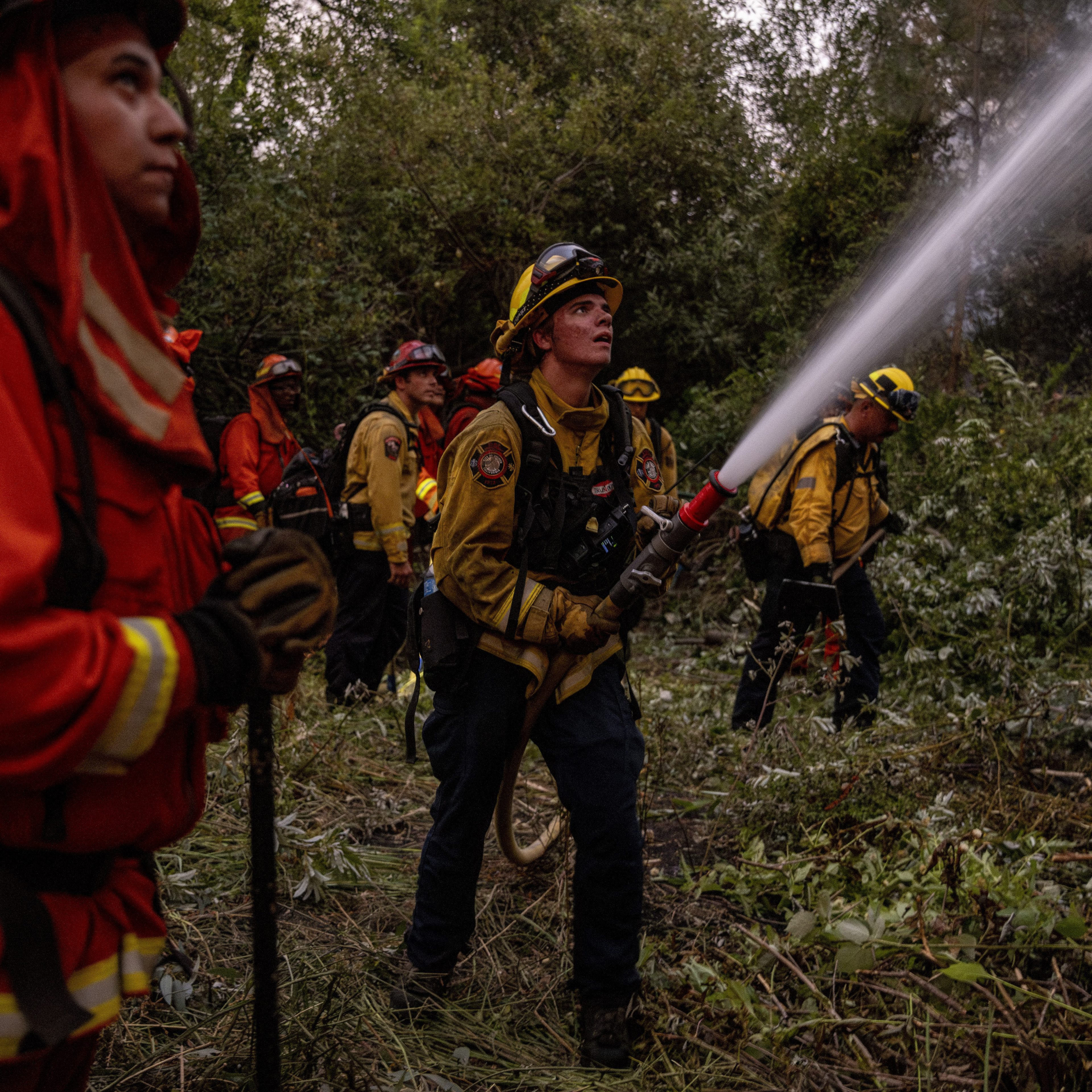 Firefighters in yellow and orange uniforms are in a forest area, with one firefighter aiming a hose spraying water, surrounded by greenery and focused expressions.
