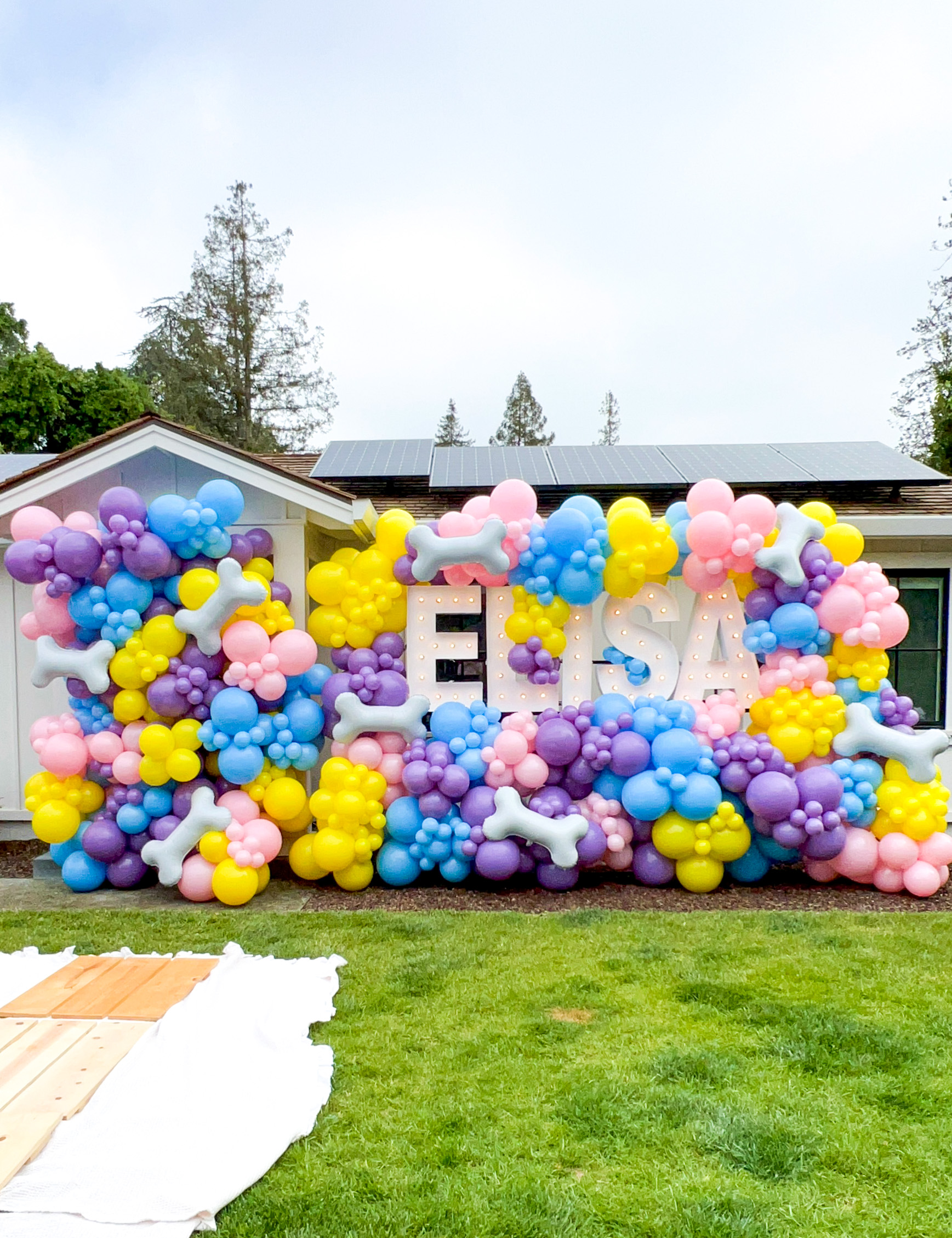 The image shows a festive balloon arrangement with multicolored balloons and bone-shaped decorations in front of a house. The name &quot;Elisa&quot; is displayed in large letters.