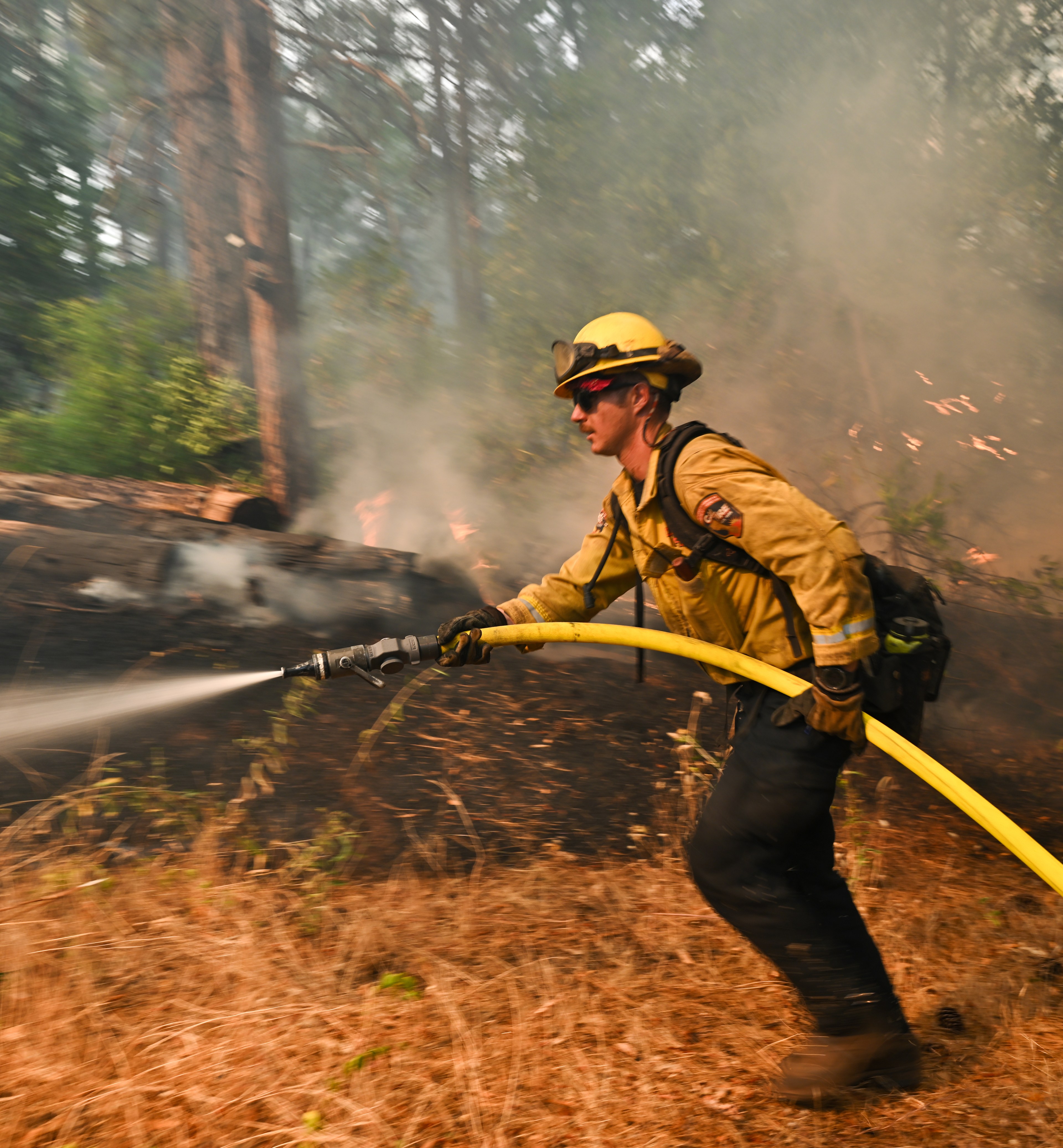 A firefighter in yellow gear uses a hose to spray water on a forest fire, with smoke and flames visible among the trees and dry grass around him.