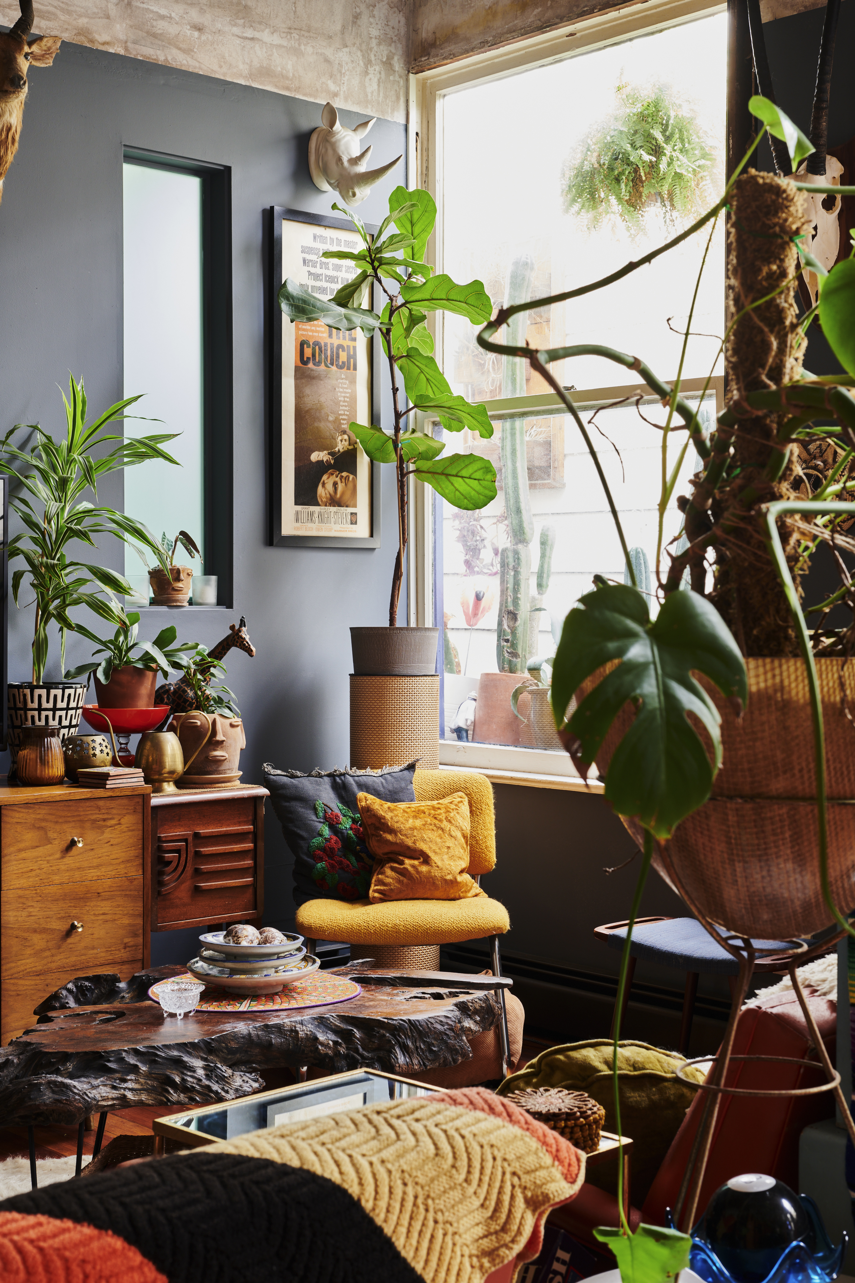 A cozy living room features eclectic decor with numerous potted plants, a wooden coffee table, colorful cushions on a yellow chair, and a wall-mounted rhino head.