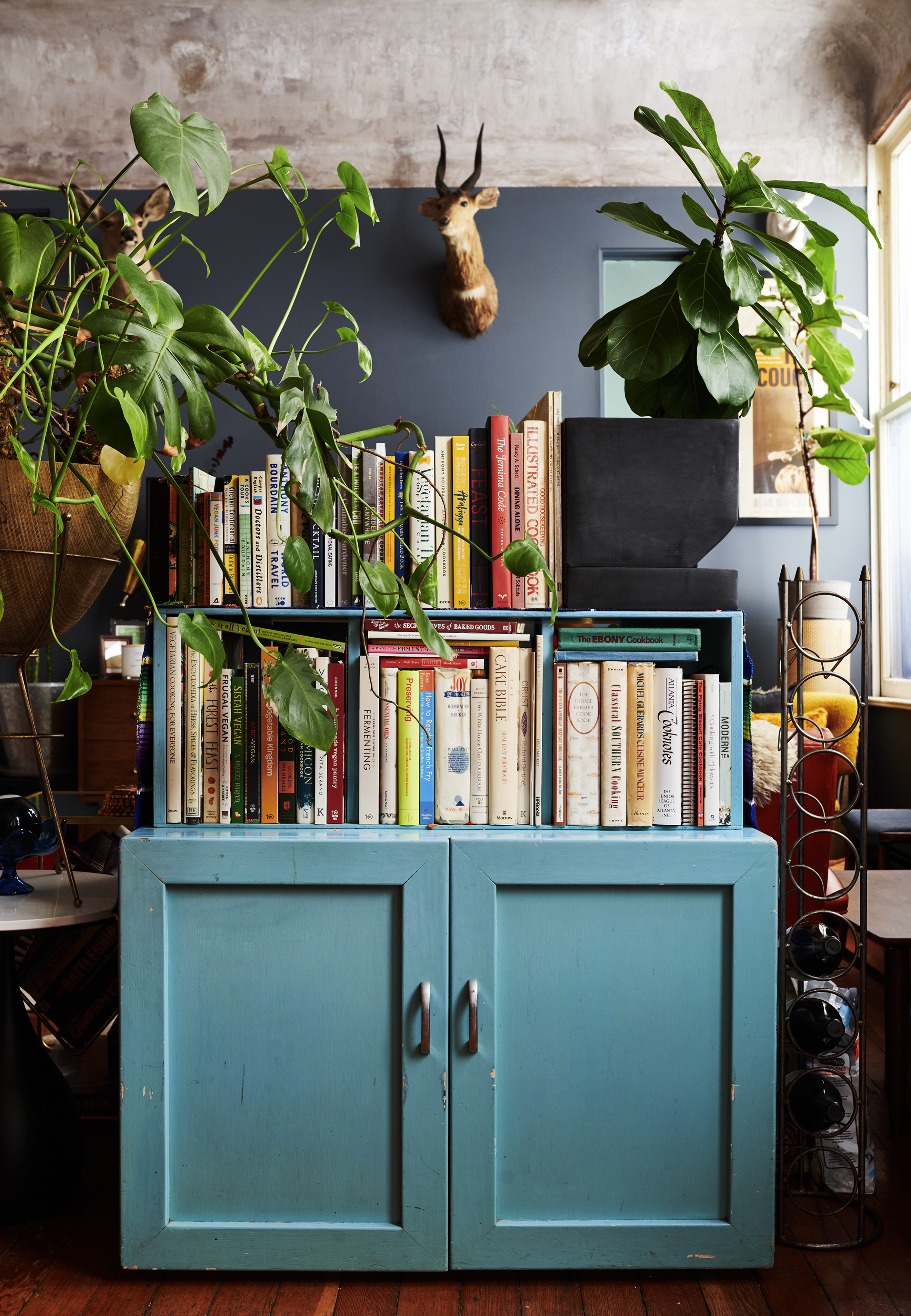 A blue wooden cabinet is topped with a variety of books. Plants are draped over and around the books, and a mounted animal head is on the wall behind.
