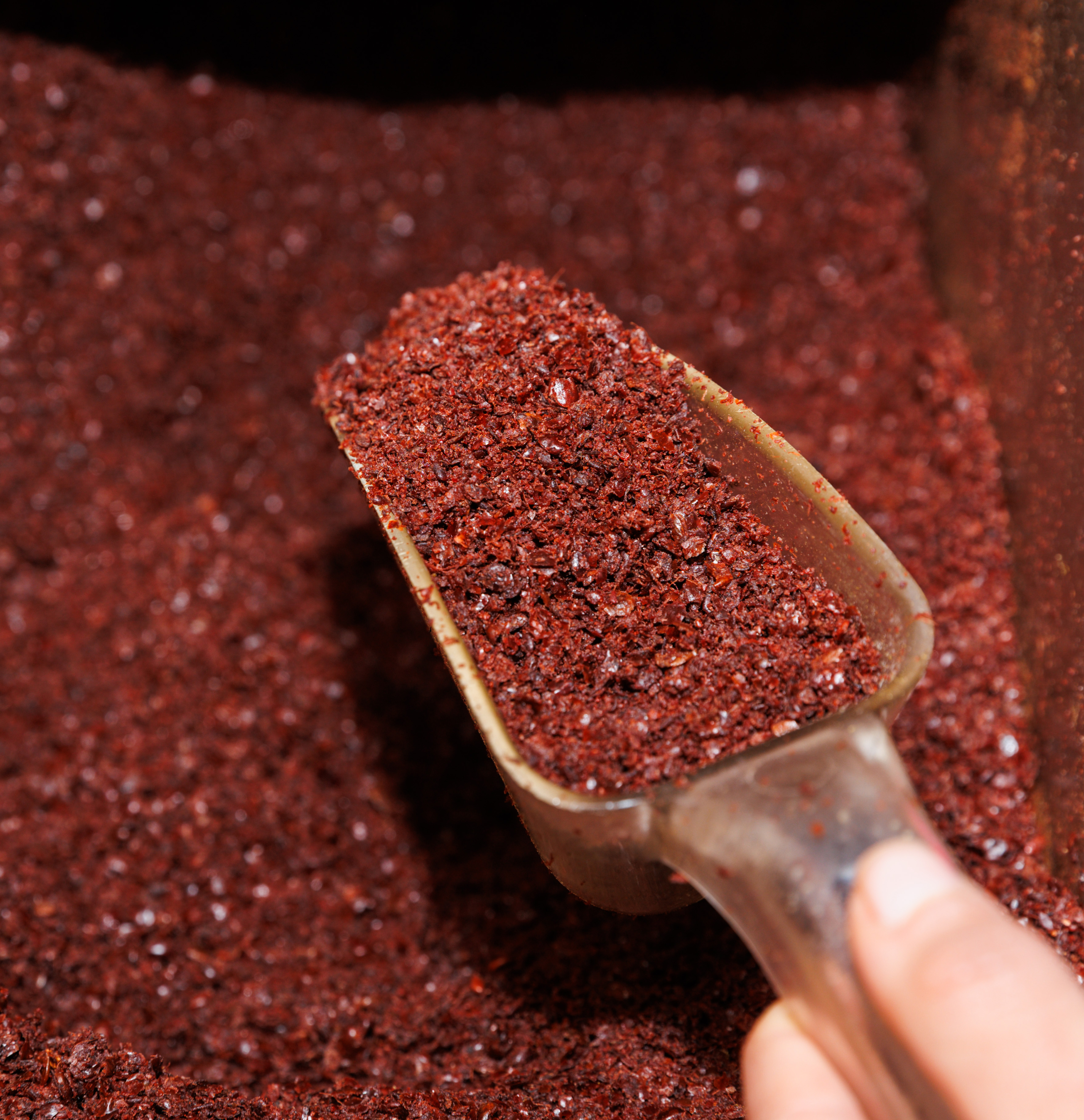 A hand holds a scoop filled with a coarse, dark red spice or ground substance, with a larger pile of the same red material in the background.