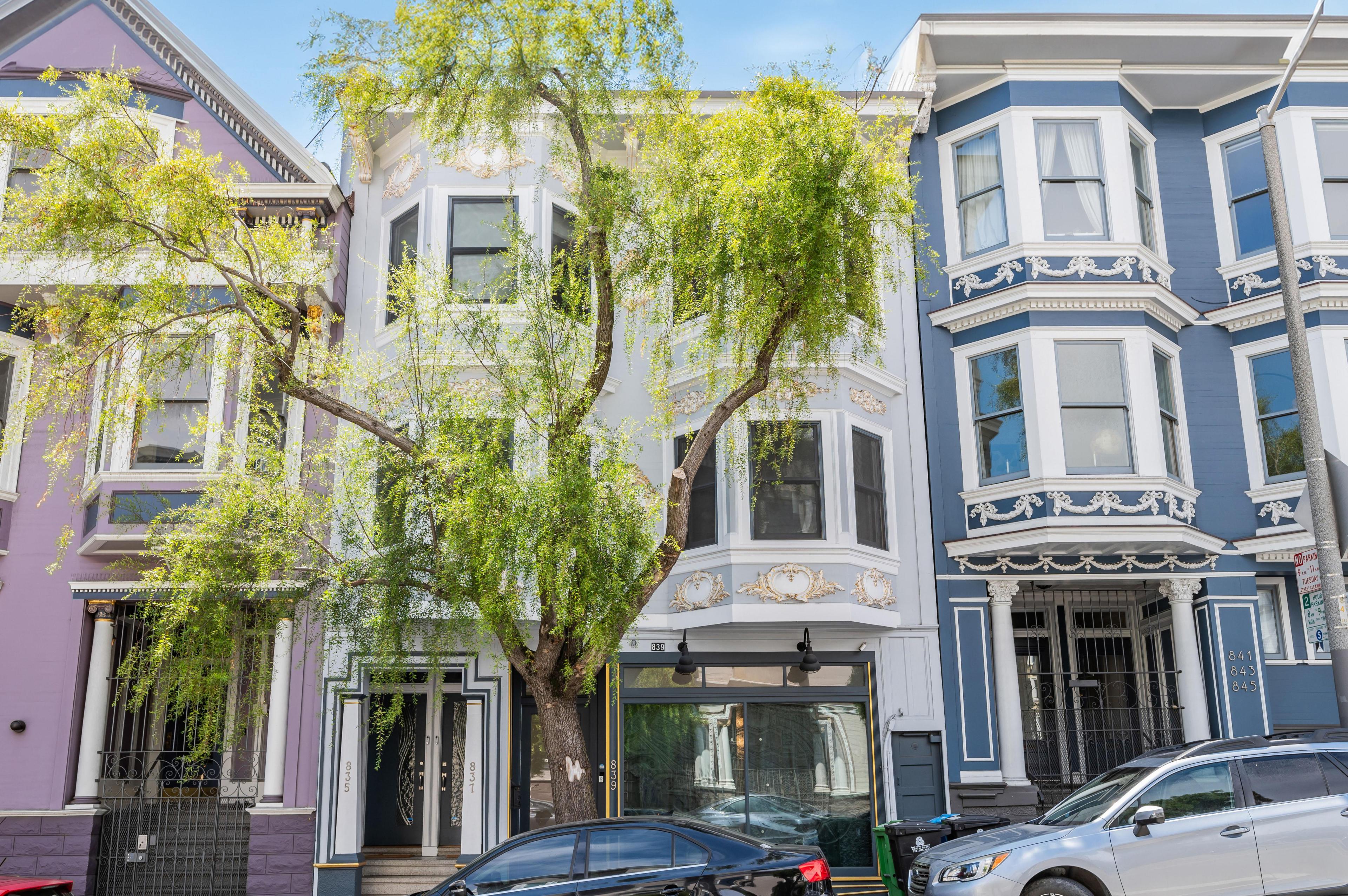 Three colorful Victorian-style houses with intricate details are behind a large leafy tree and a few parked cars.