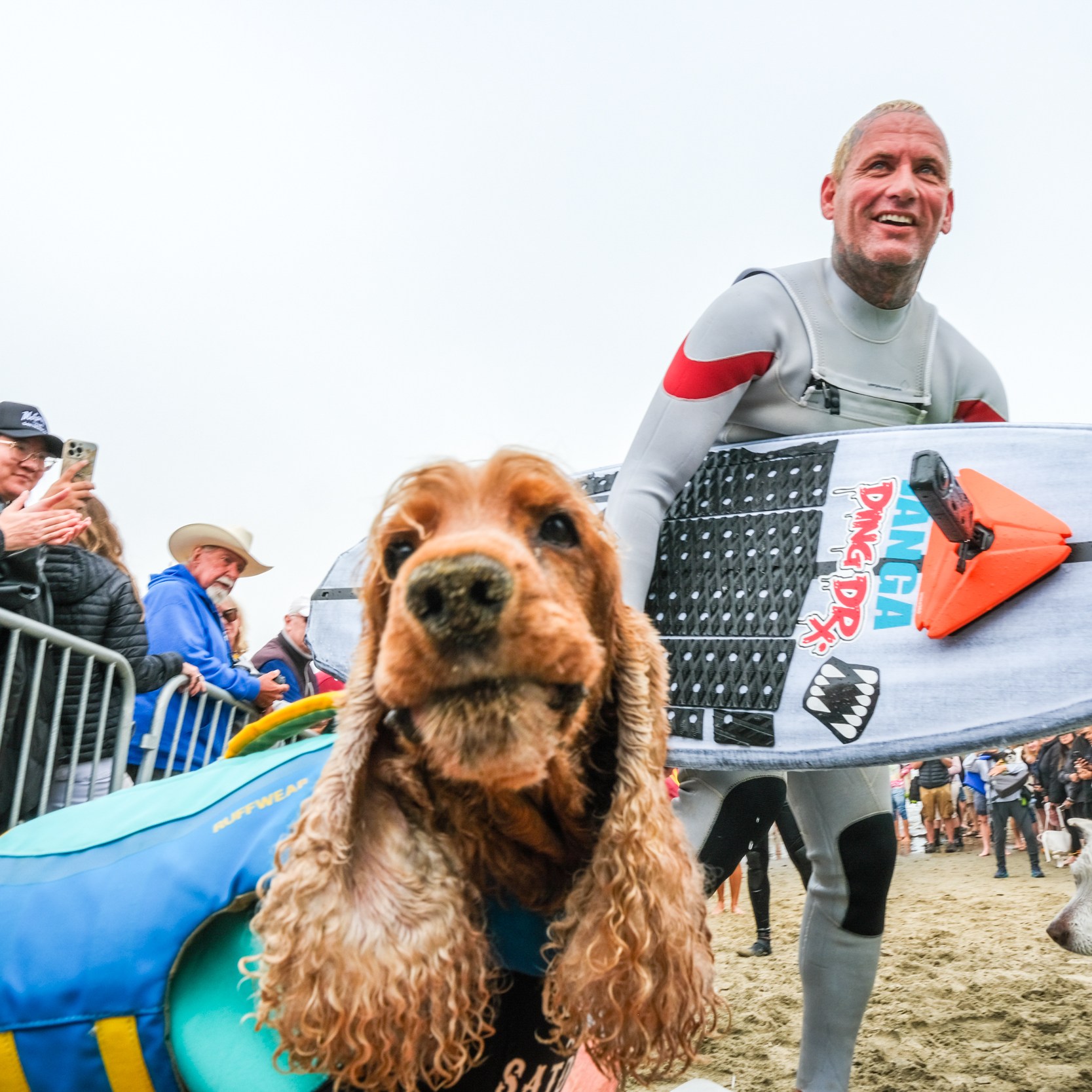 A man in a wetsuit holding a surfboard stands on a beach, surrounded by smiling onlookers behind a fence. Two dogs in life jackets are also in the scene.