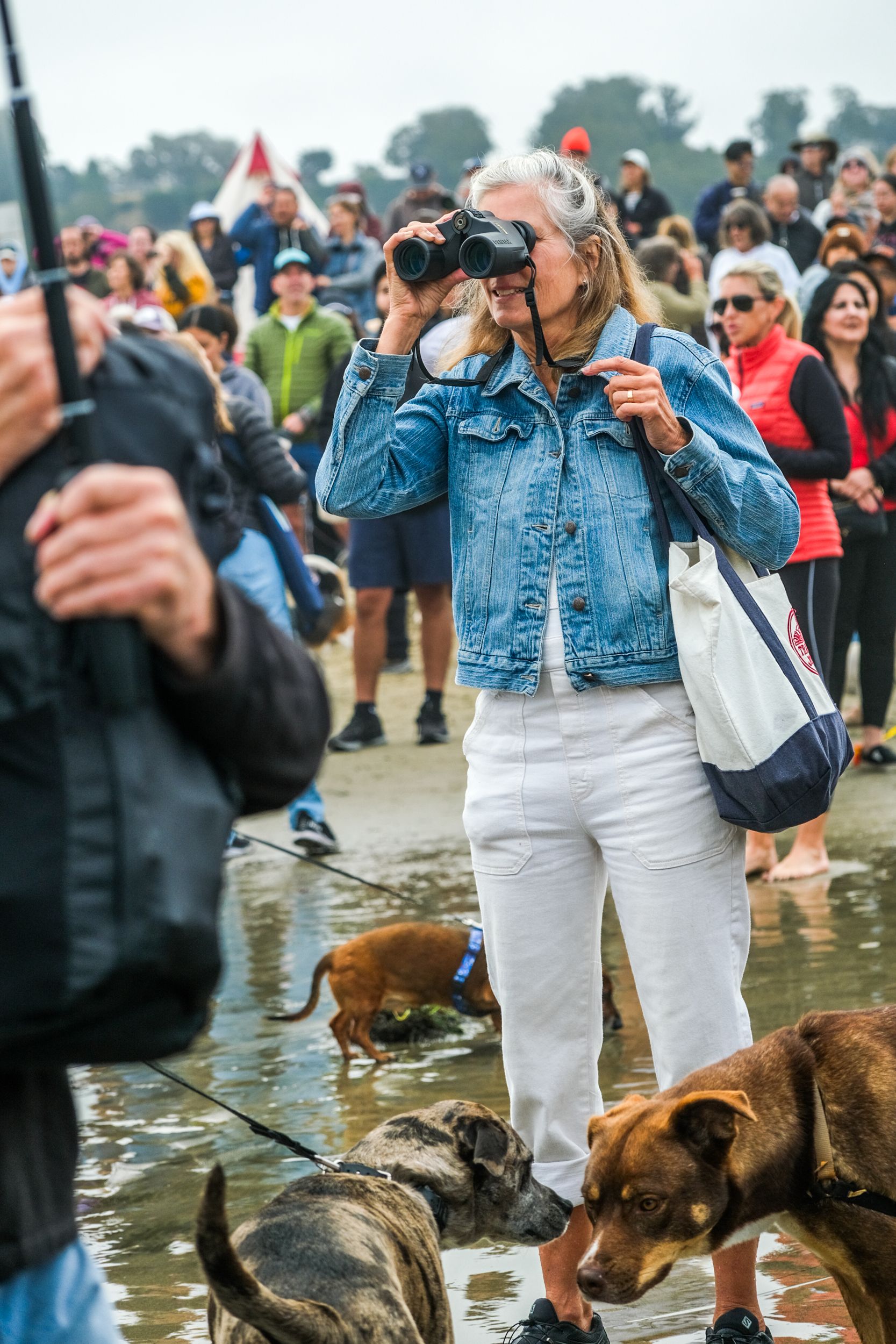 A woman in a denim jacket uses binoculars at a crowded beach event, surrounded by people and dogs. She has a white and blue tote bag and stands on a wet sandy shore.