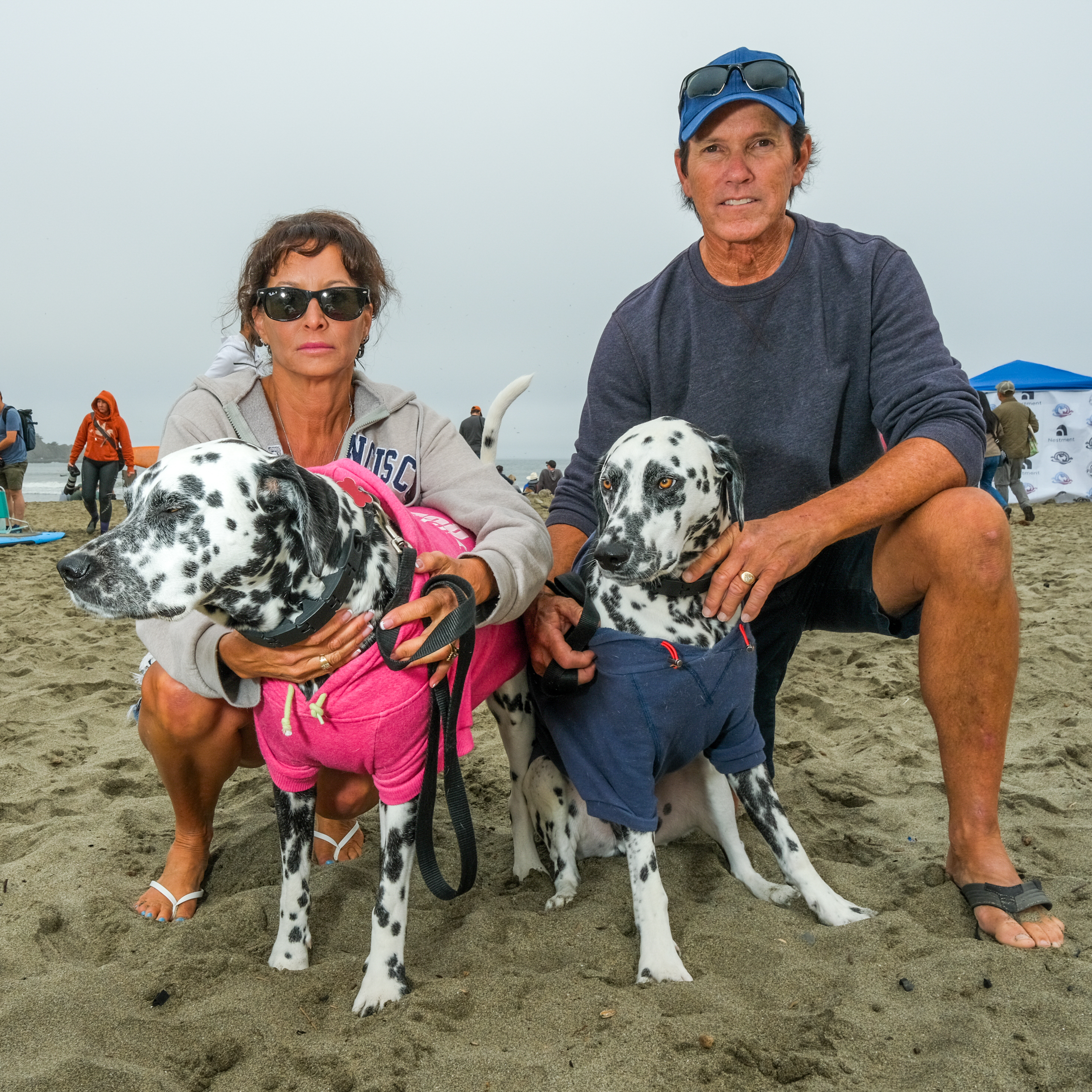 A man and woman kneel on the beach, holding two Dalmatians dressed in pink and blue hoodies. The beach appears crowded with people and tents in the background.