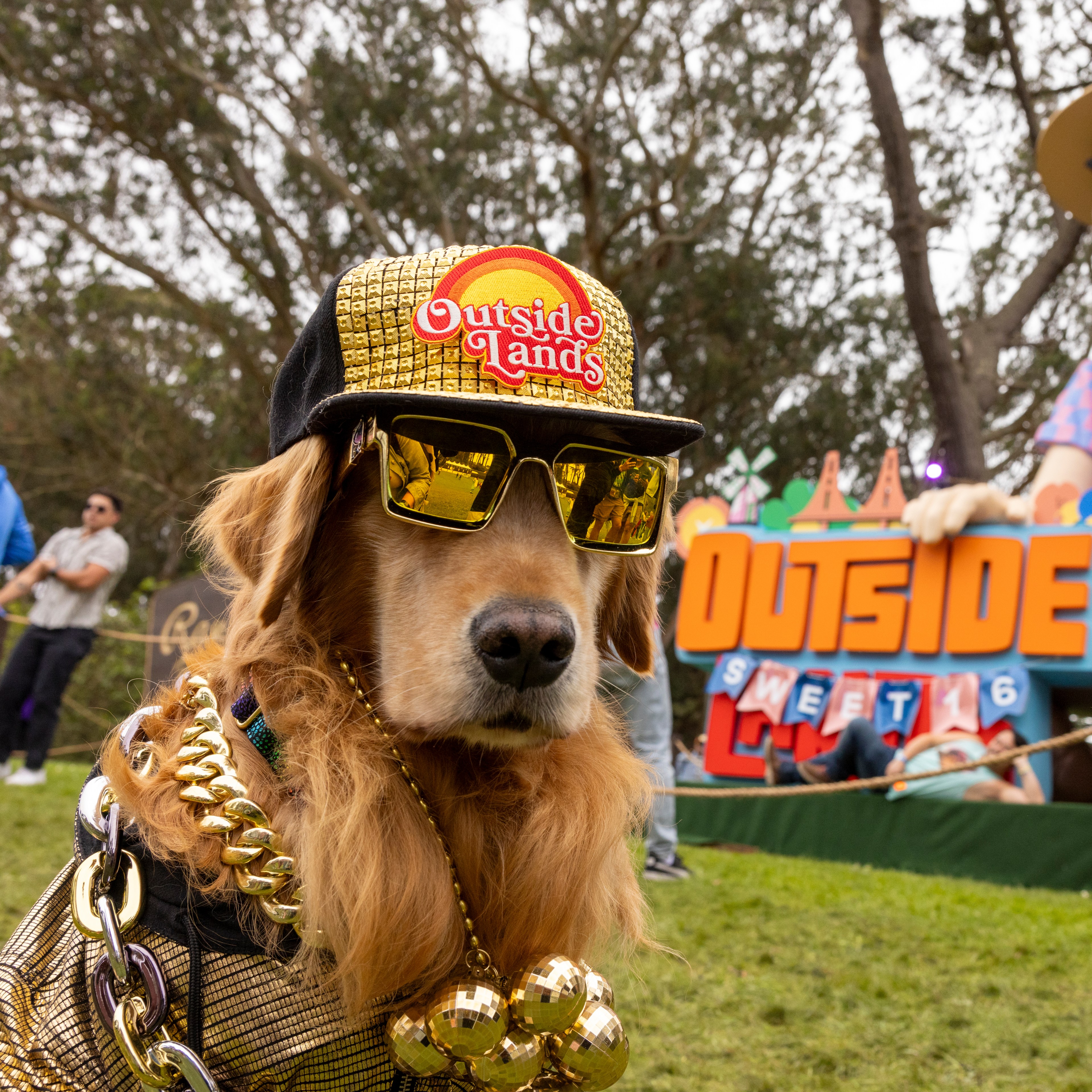 A dog wearing a golden hat, sunglasses, and heavy chains poses in front of an &quot;Outside Lands&quot; sign with a large statue behind it.