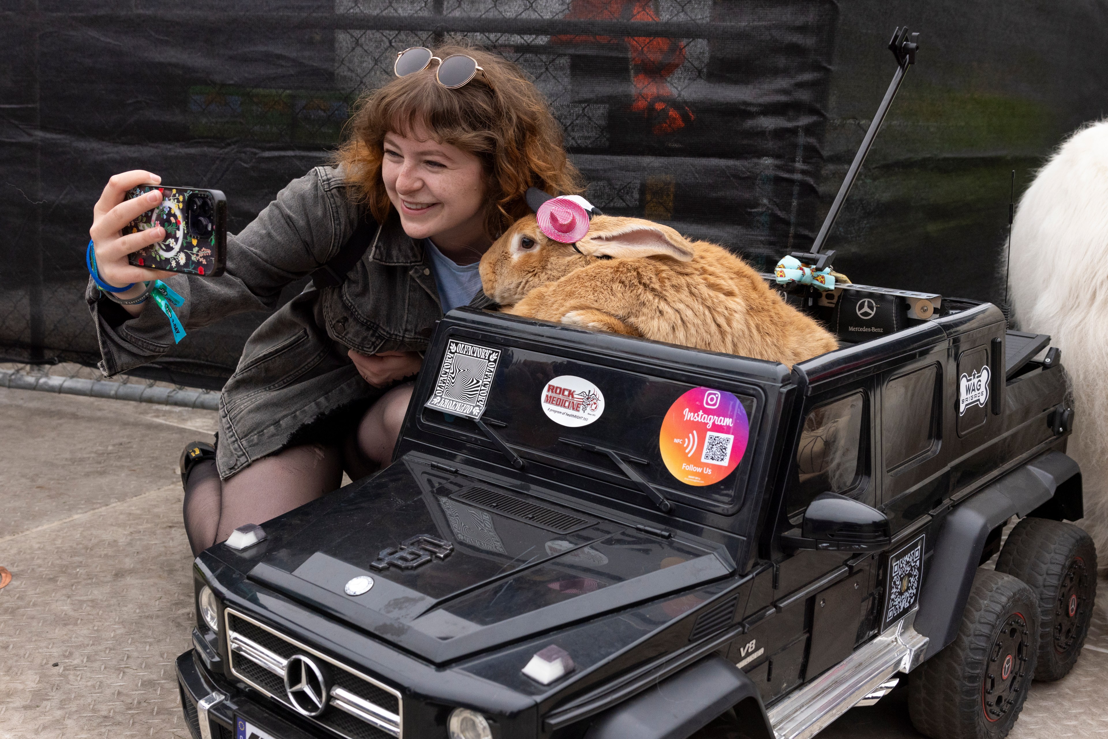 A smiling woman takes a selfie with a large brown rabbit wearing a pink hat, sitting in a black toy Mercedes-Benz car, decorated with various stickers.