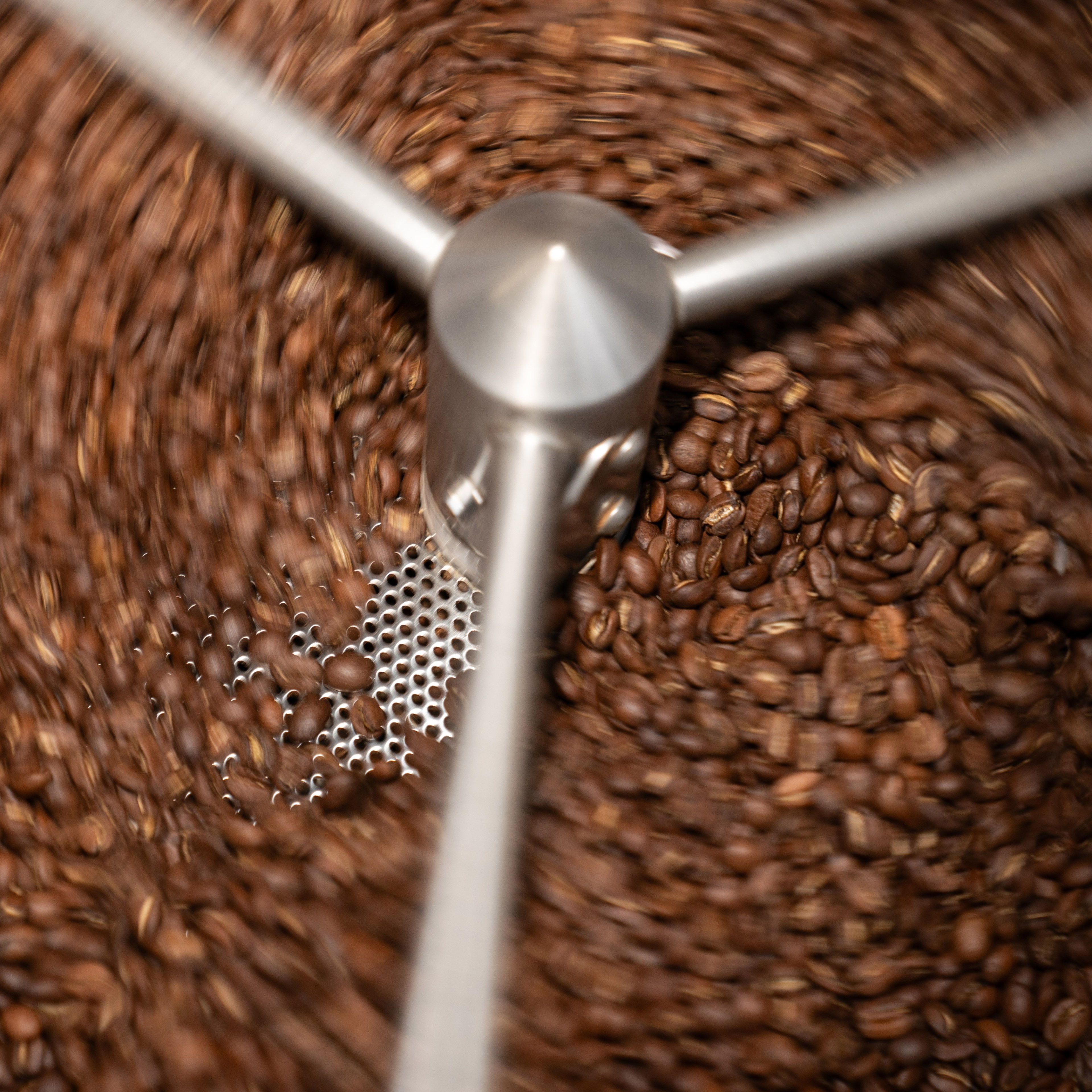 A close-up of a metal coffee roaster agitating many brown coffee beans, creating a blur effect as the beans spin around.