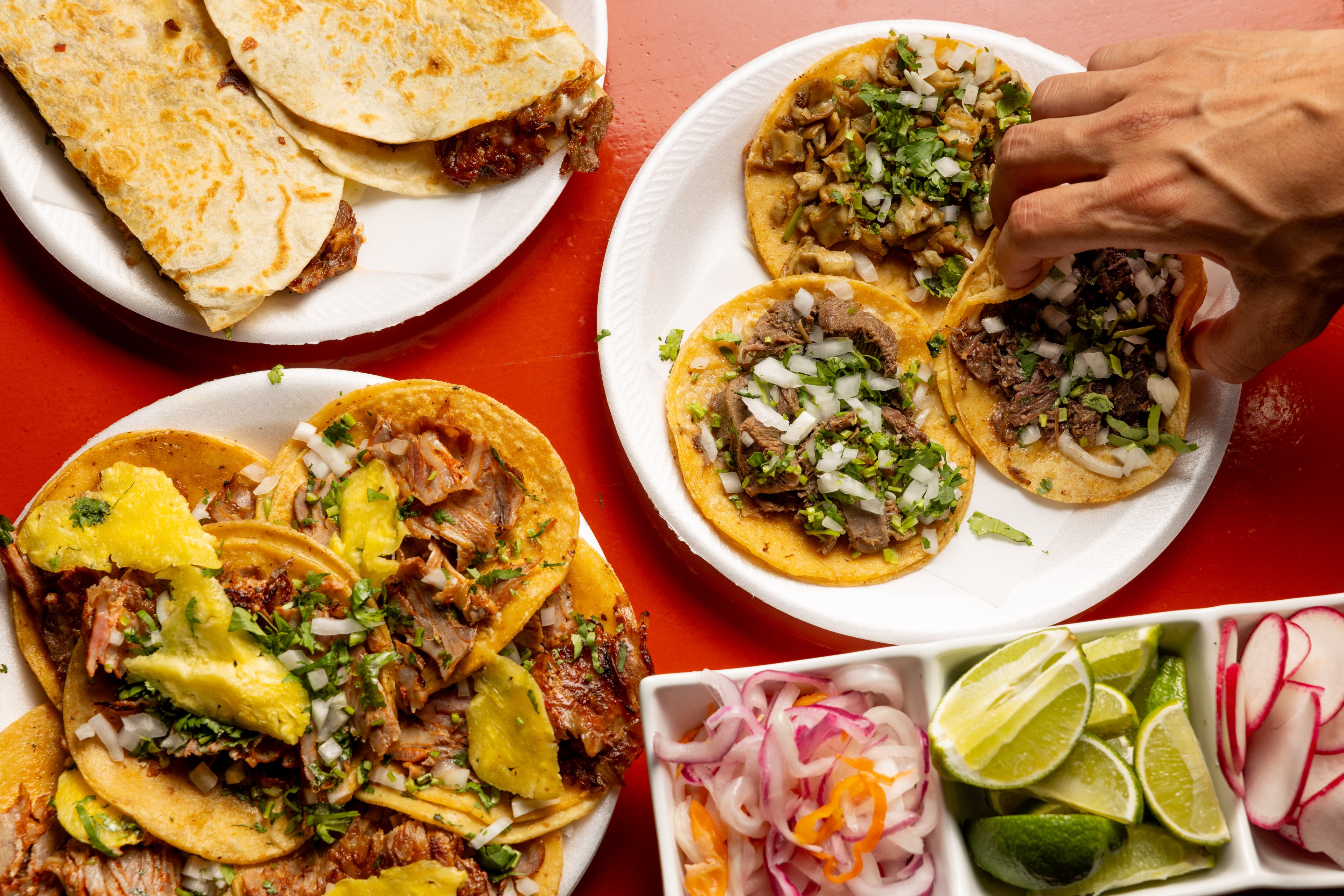 The image shows three plates of tacos and quesadillas topped with onions, cilantro, avocado, and various meats, accompanied by a container of limes, radishes, and pickled onions.