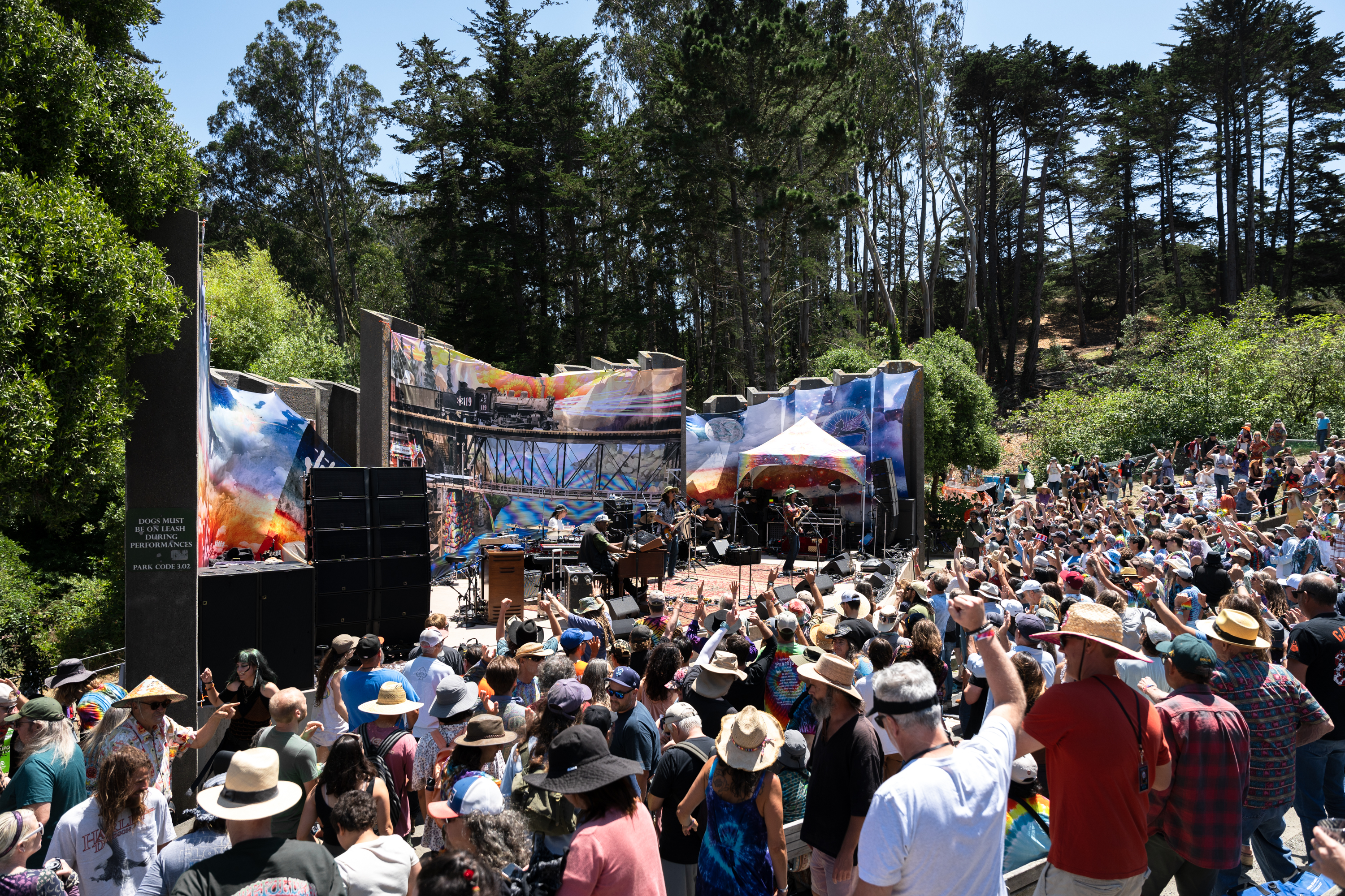 The image shows an outdoor concert with a crowded audience. The stage has colorful backdrops, and some musicians are performing. Tall trees and clear skies are in the background.