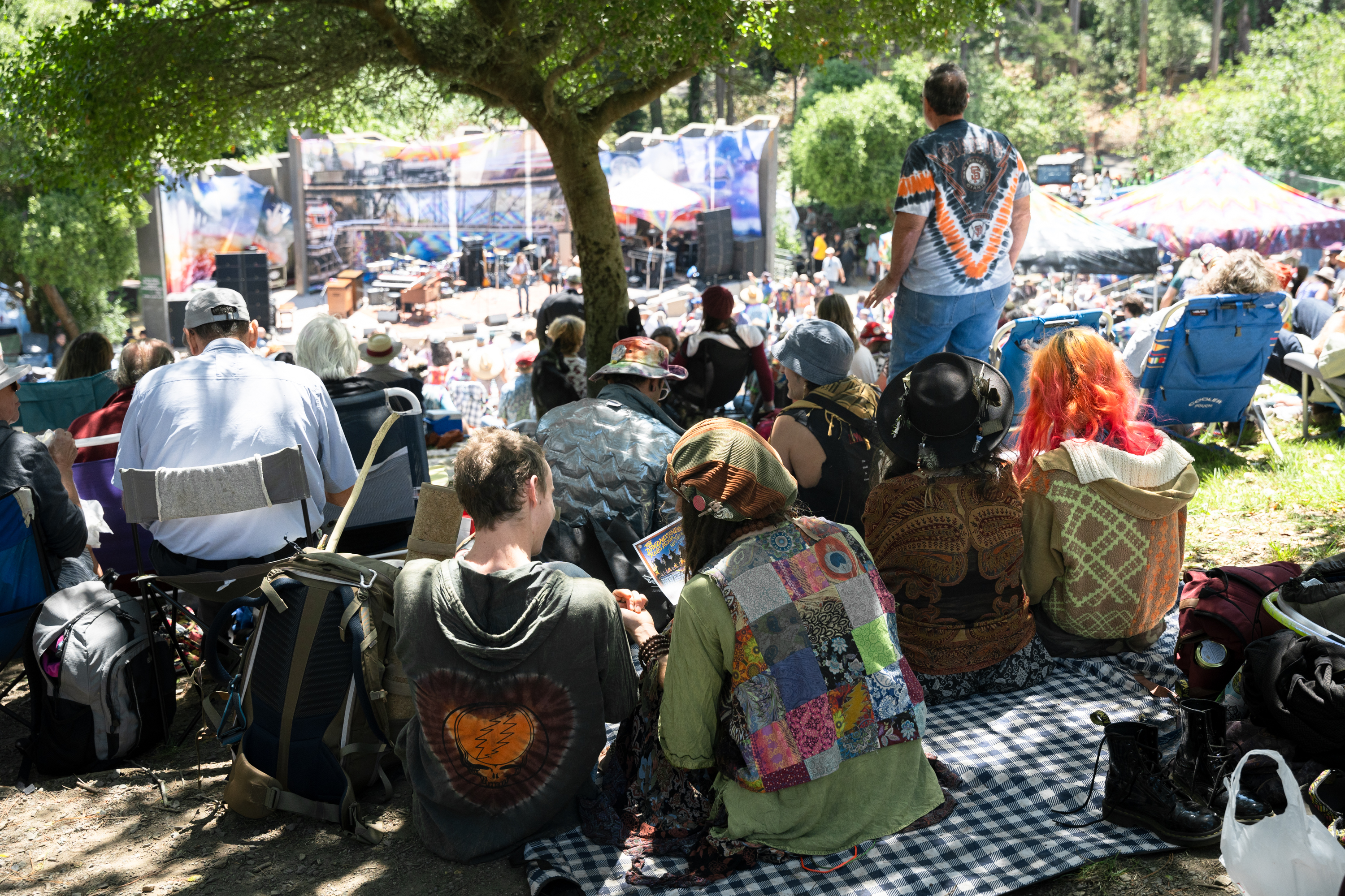 A diverse group of people in colorful clothing is seated on a grassy hillside, attending an outdoor concert under a sunny sky.