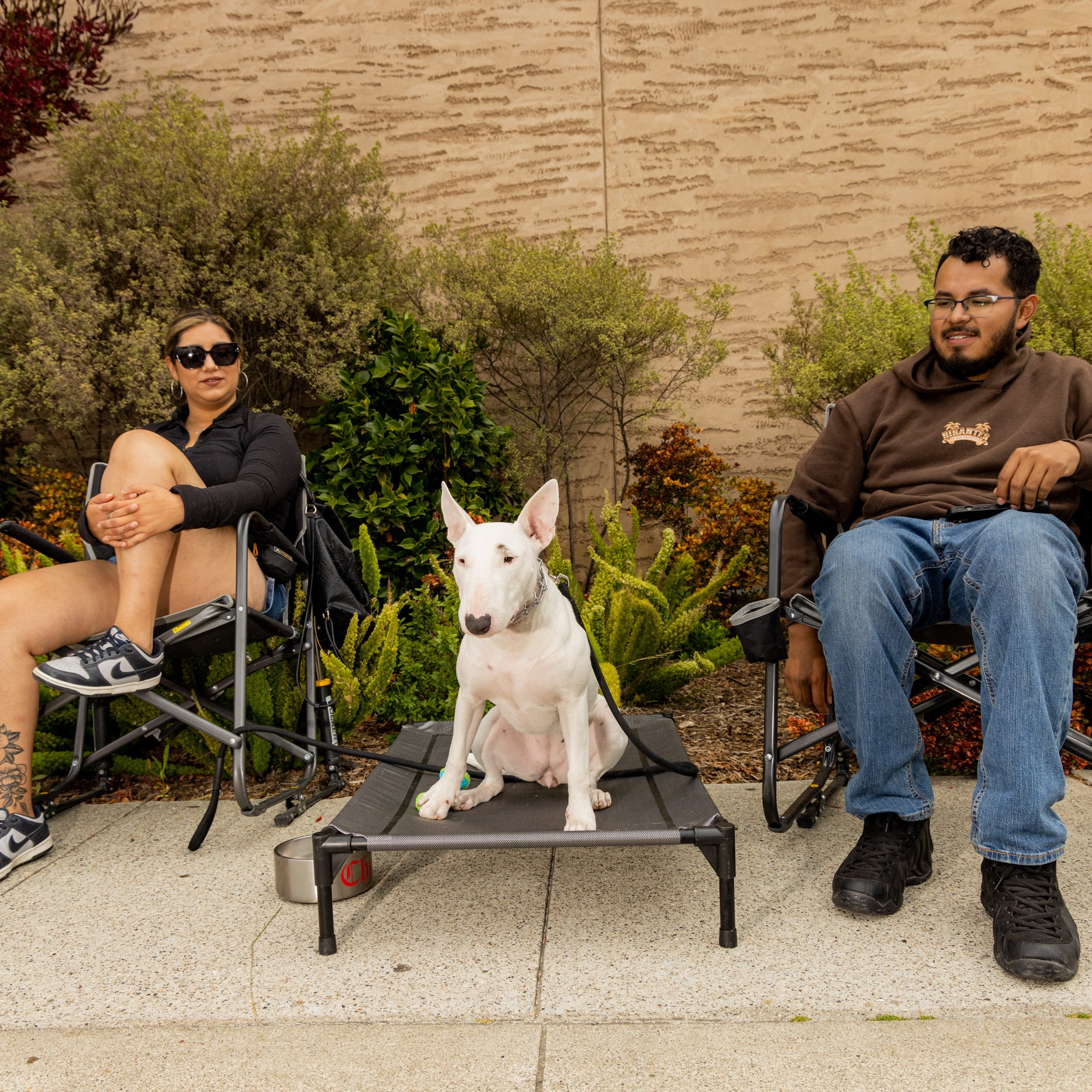 Two adults and a child sit near bushes, with a white dog on a raised bed between the adults. The adults are relaxed on chairs, and the child stands nearby.