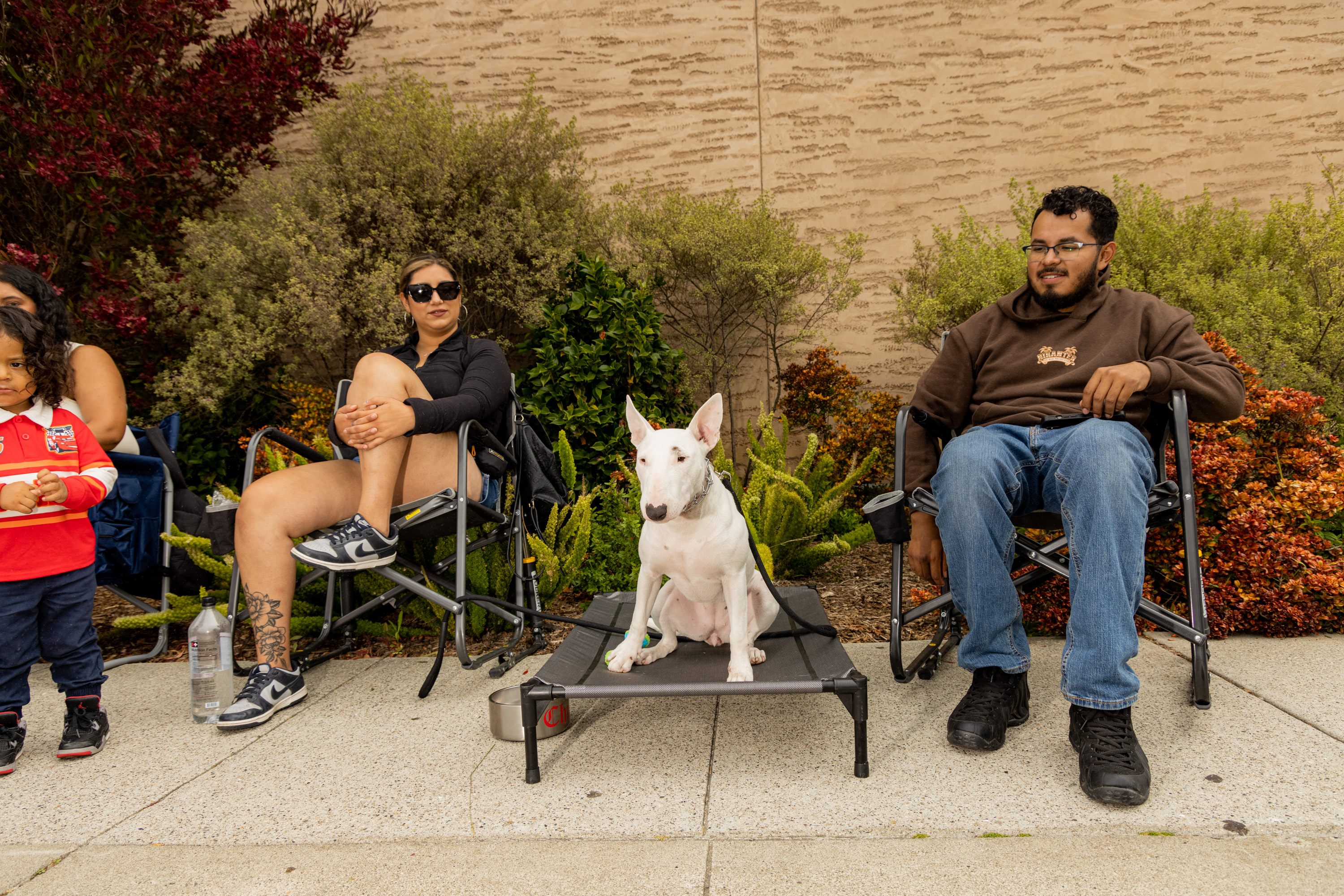 Two adults and a child sit near bushes, with a white dog on a raised bed between the adults. The adults are relaxed on chairs, and the child stands nearby.