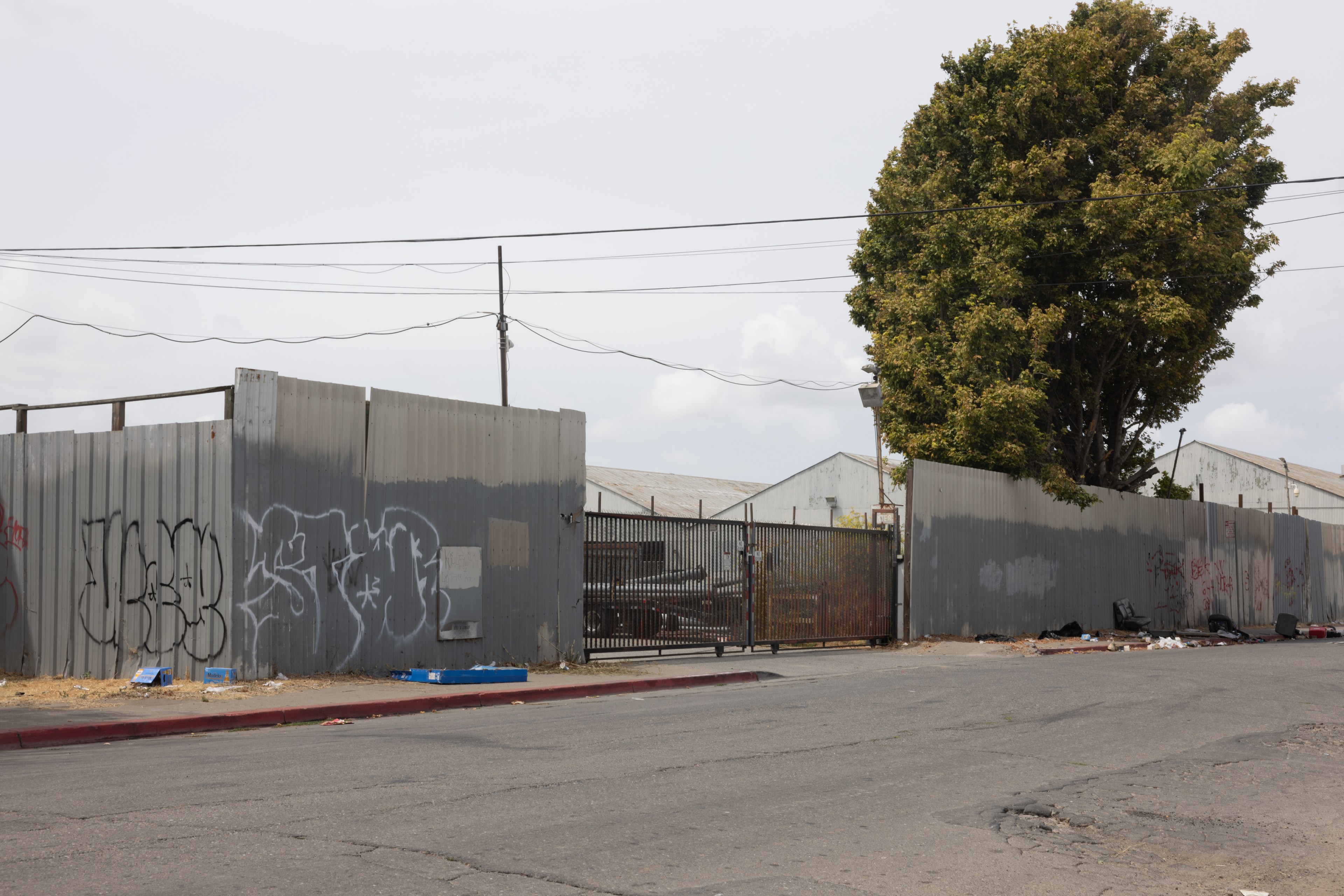 A fence covered in graffiti lines a street with litter scattered on the sidewalk. Behind the fence, there's a large tree and industrial buildings in the background.