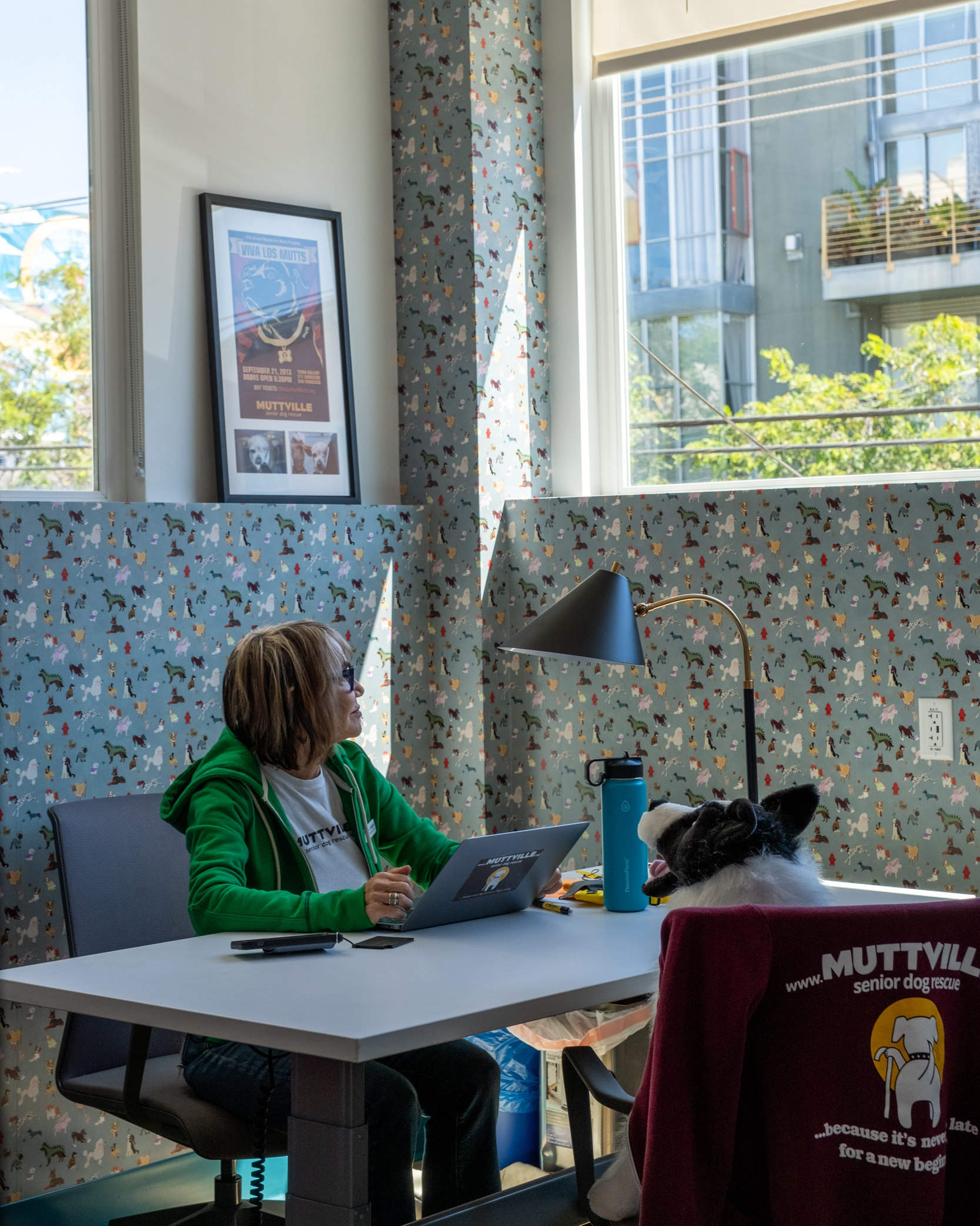 A person in a green hoodie is seated at a desk, working on a laptop with a Muttville sticker. The room has dog-patterned wallpaper, a large window, and a framed poster on the wall.