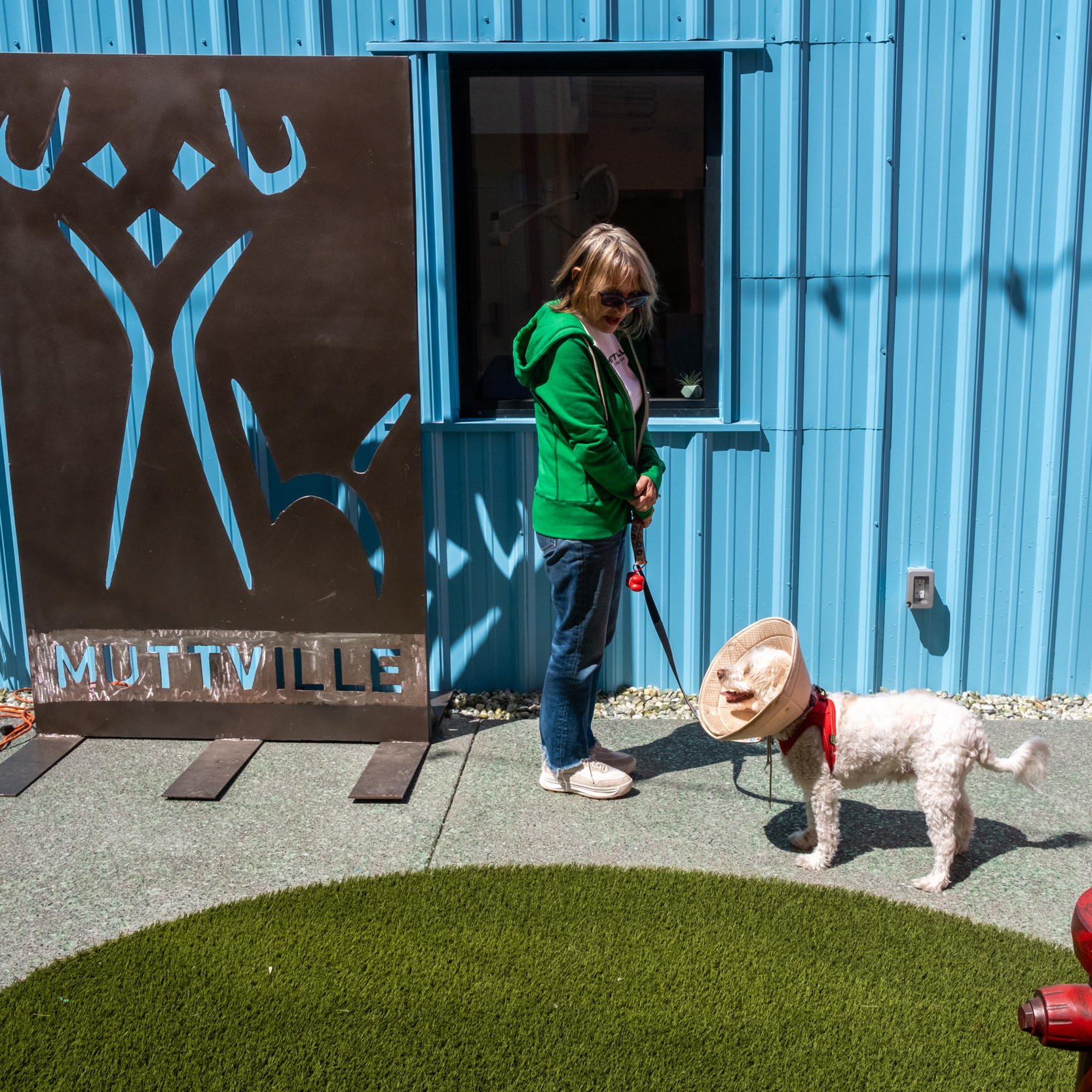 A woman in a green jacket holds a leashed dog wearing a cone collar, standing near a sign that reads &quot;Muttville&quot; against a blue building background.