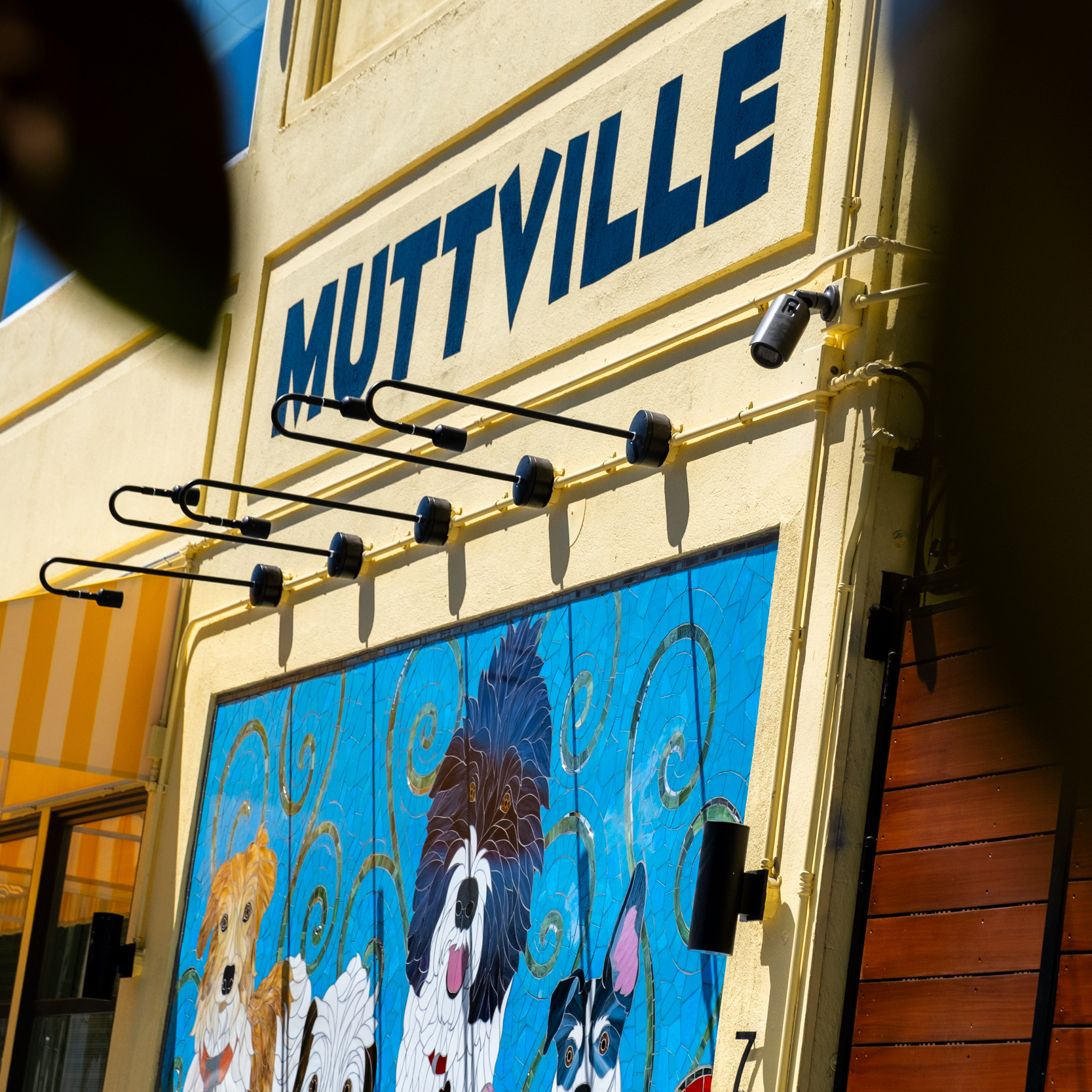 The image shows a yellow building with the word &quot;MUTTVILLE&quot; in bold letters. Below, there's a colorful mural of various dogs on a blue background.