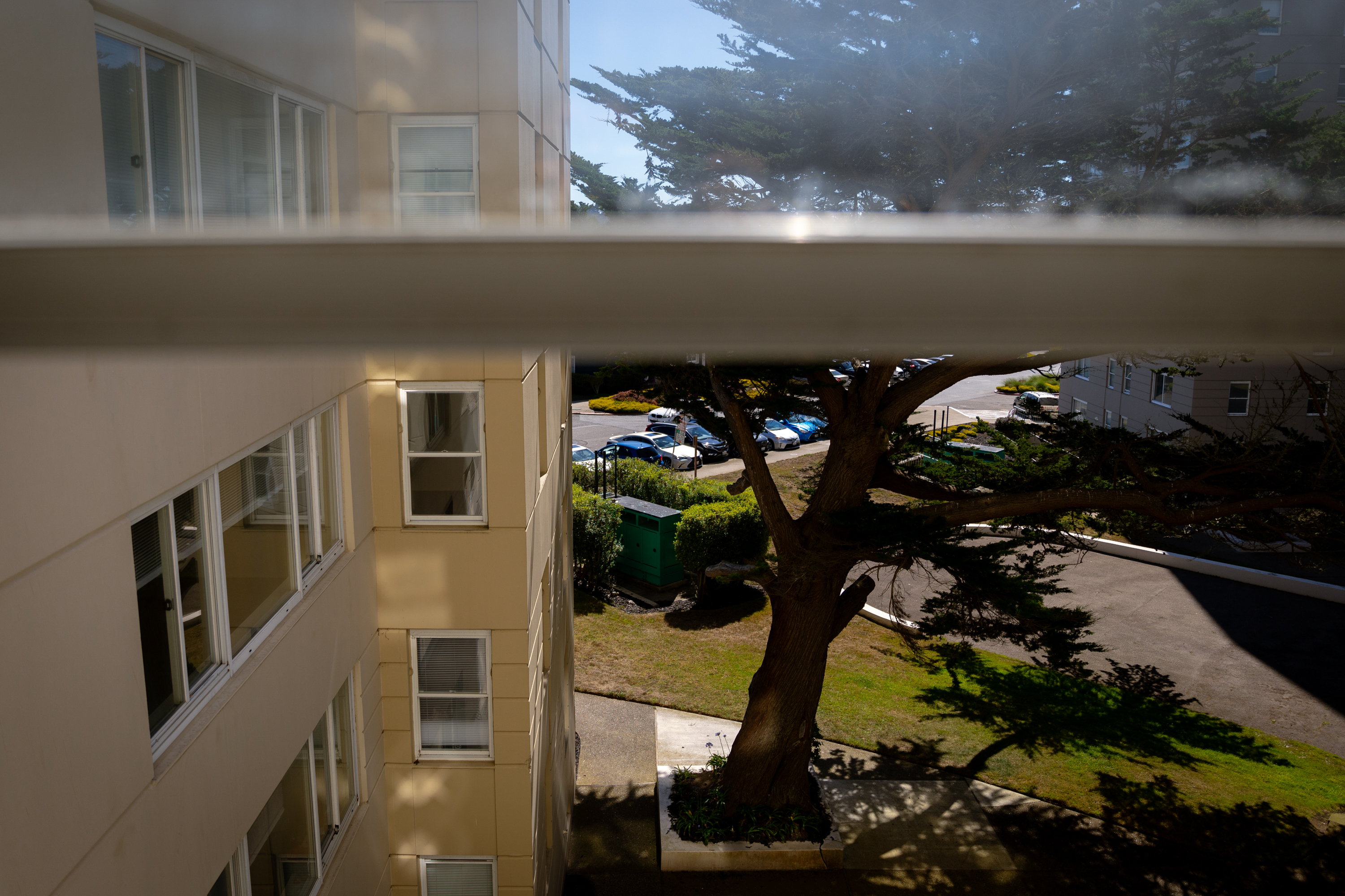 The image shows a view through a high window of a sunlit building, with a large tree, a small green utility box, and a parking lot with several cars below.