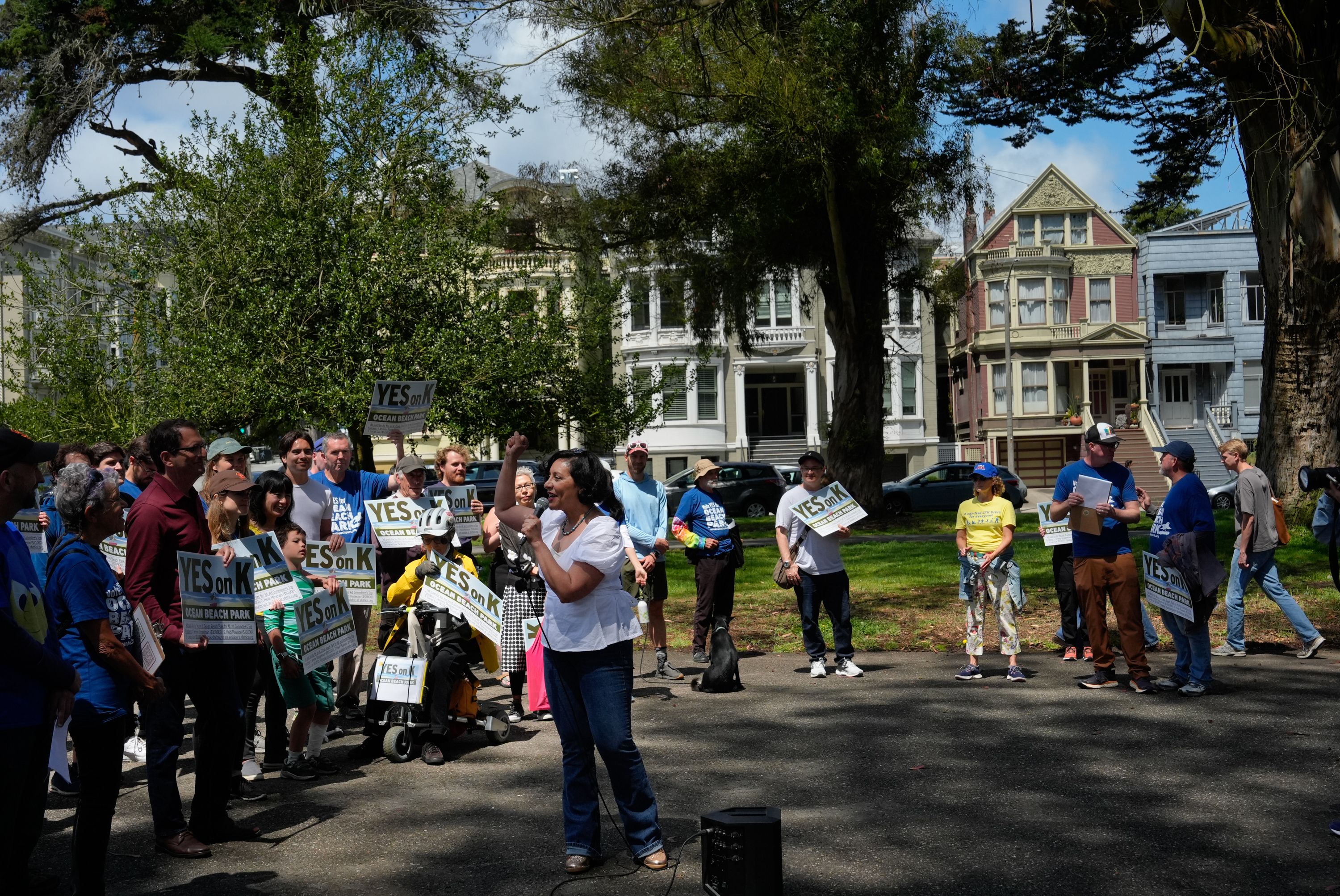 A woman with a microphone speaks passionately to a crowd holding &quot;Yes on K&quot; signs in a park, with Victorian houses and large trees in the background.