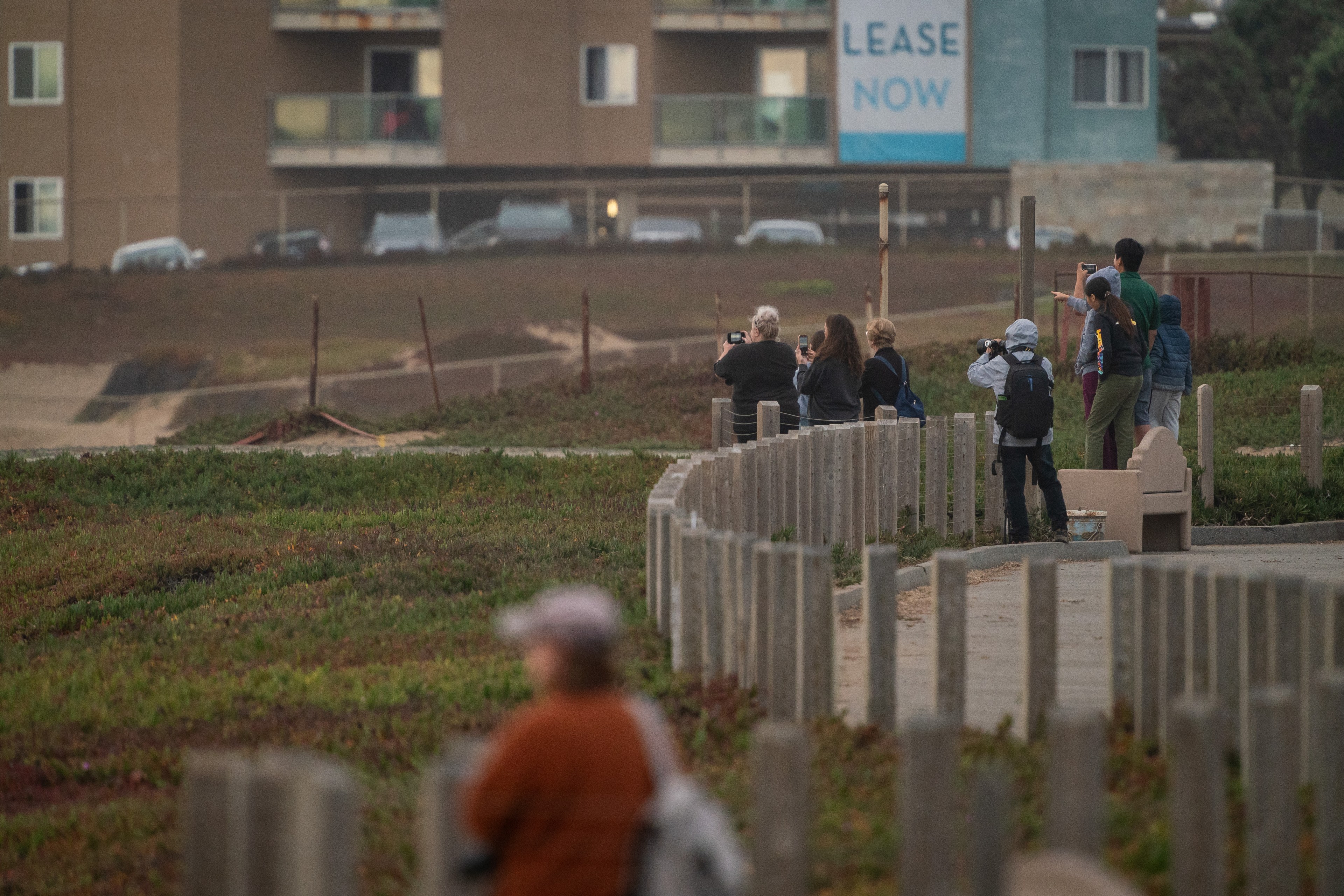 A group of people stands along a fenced path, taking photos with smartphones and cameras, with a green field and residential buildings in the background.