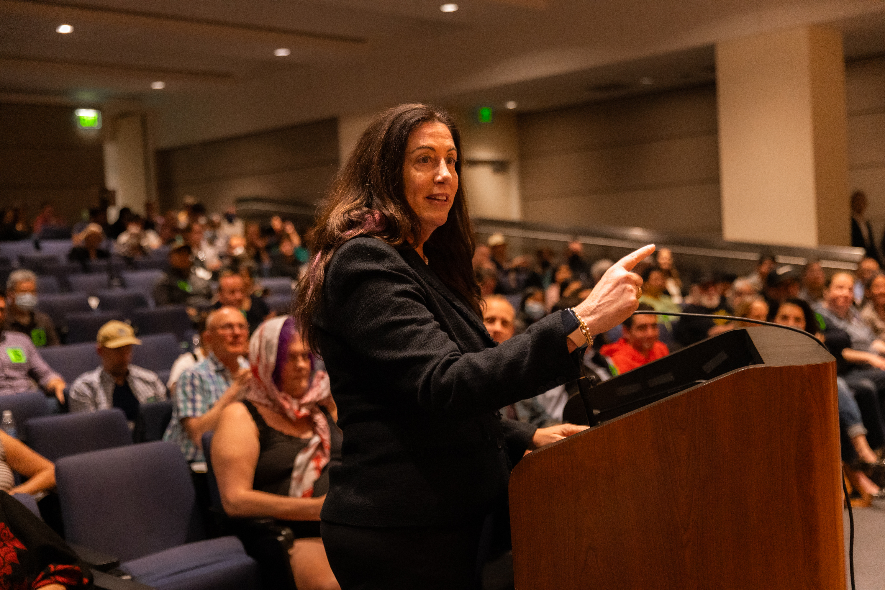 A woman, Christine Pelosi, is seen from her hips up, standing at a podium, gesturing with one hand in a point, speaking to a crowd. Theater style seating is behind her, filled with people in a dimly-lit auditorium. 