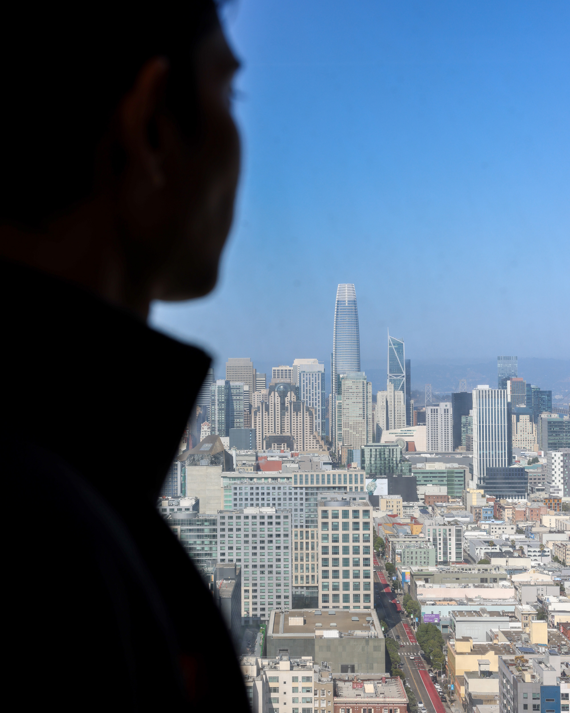 A silhouette of a person looks out over a cityscape featuring modern tall buildings under a clear blue sky.