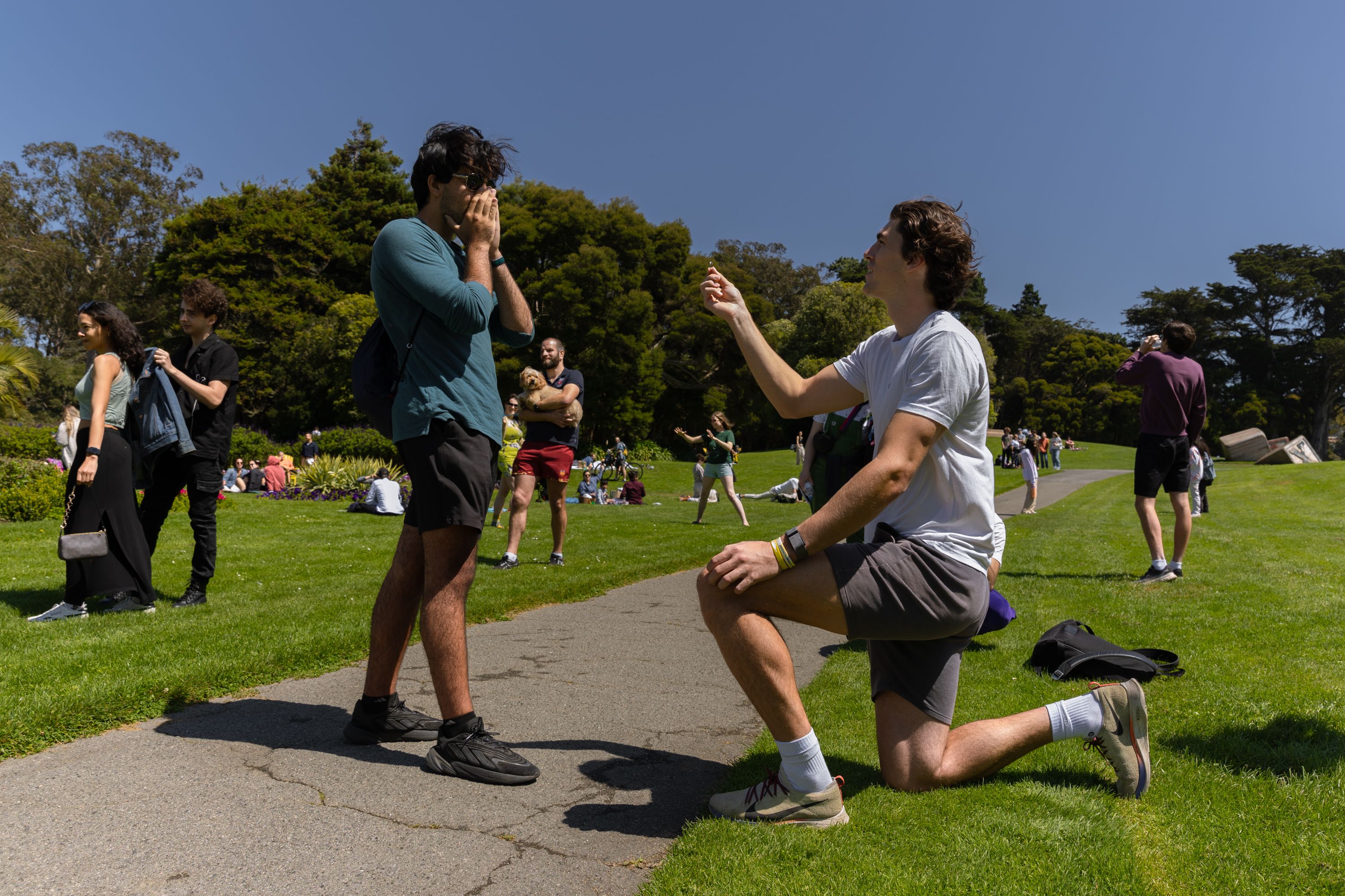 A person on one knee is presenting a ring to another person covering their face in surprise in a park, surrounded by onlookers enjoying the sunny day.