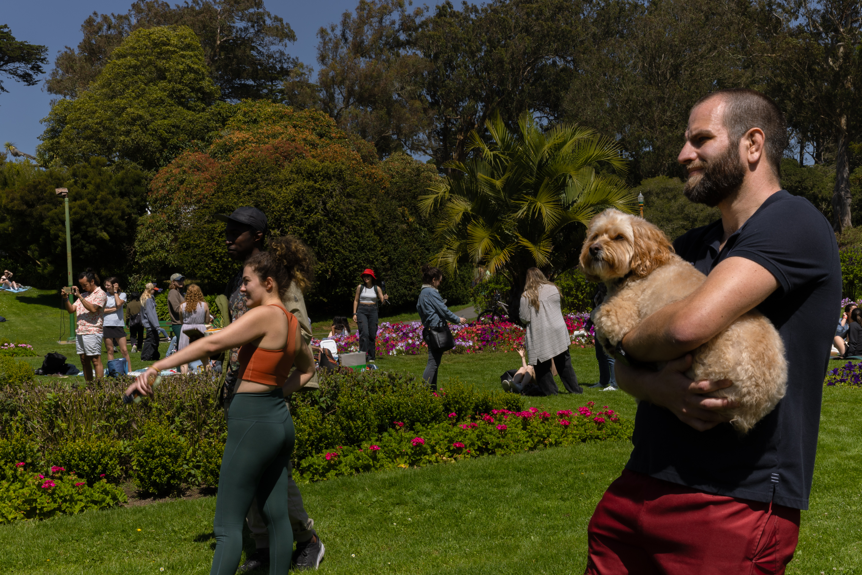 People enjoy a sunny park with trees and flowers; some walk or take pictures, while a man in red shorts holds a fluffy dog.