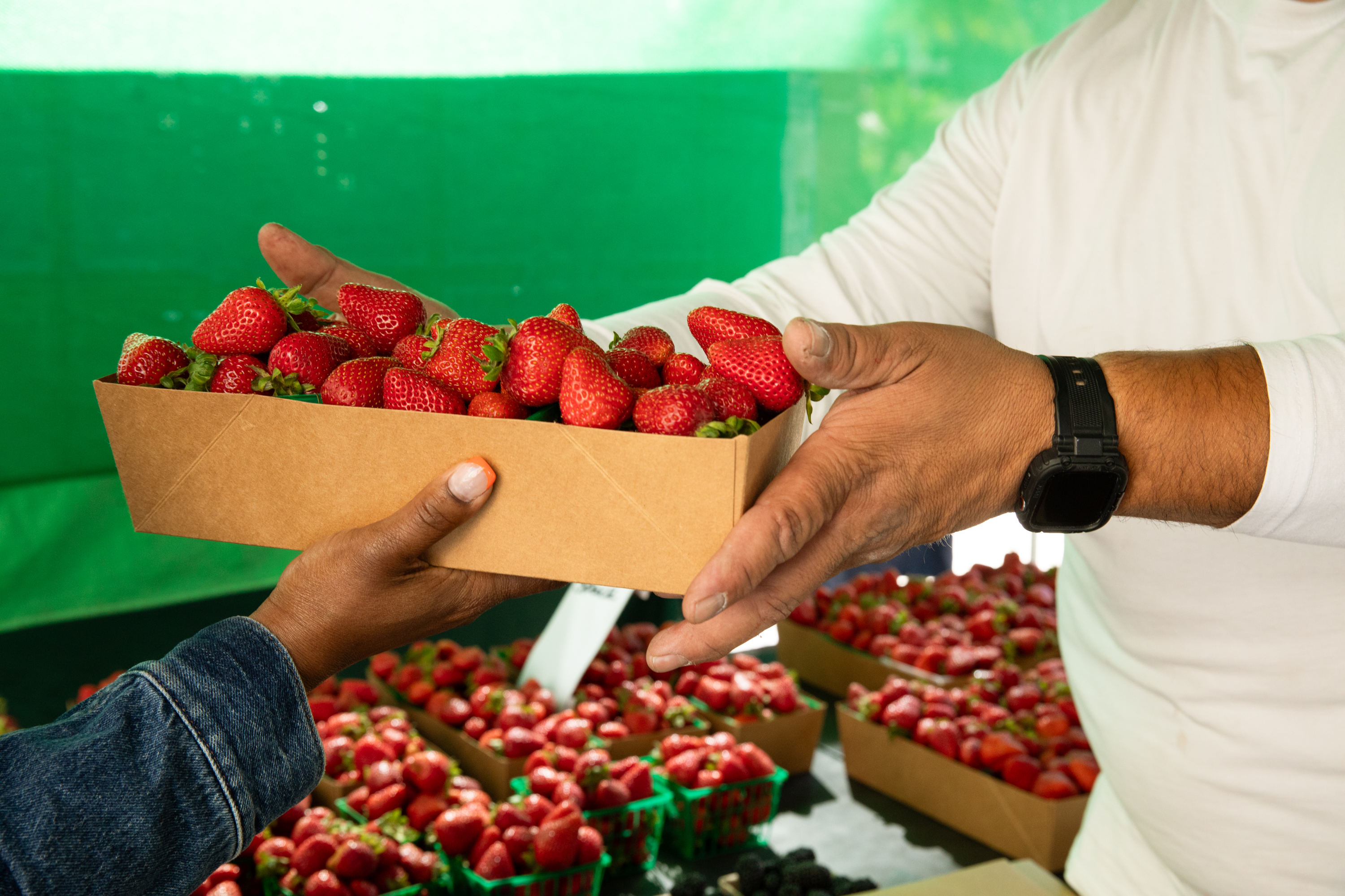 A person hands over a paper tray filled with fresh strawberries to another person at an outdoor market with various baskets of strawberries in the background.