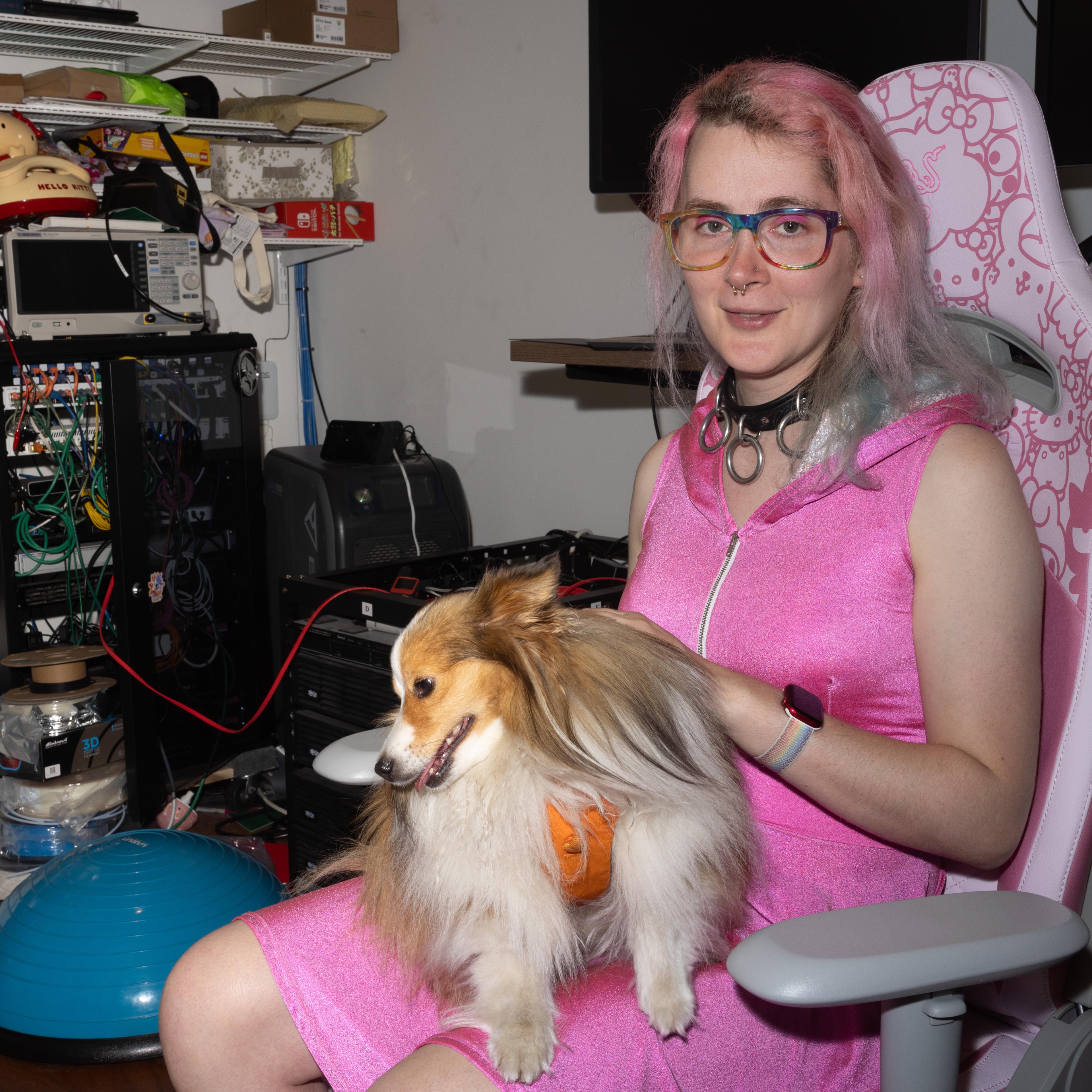 A person with pink hair, glasses, and a pink dress sits in a pink chair, holding a small dog. The background features shelves, electronic equipment, and cables.