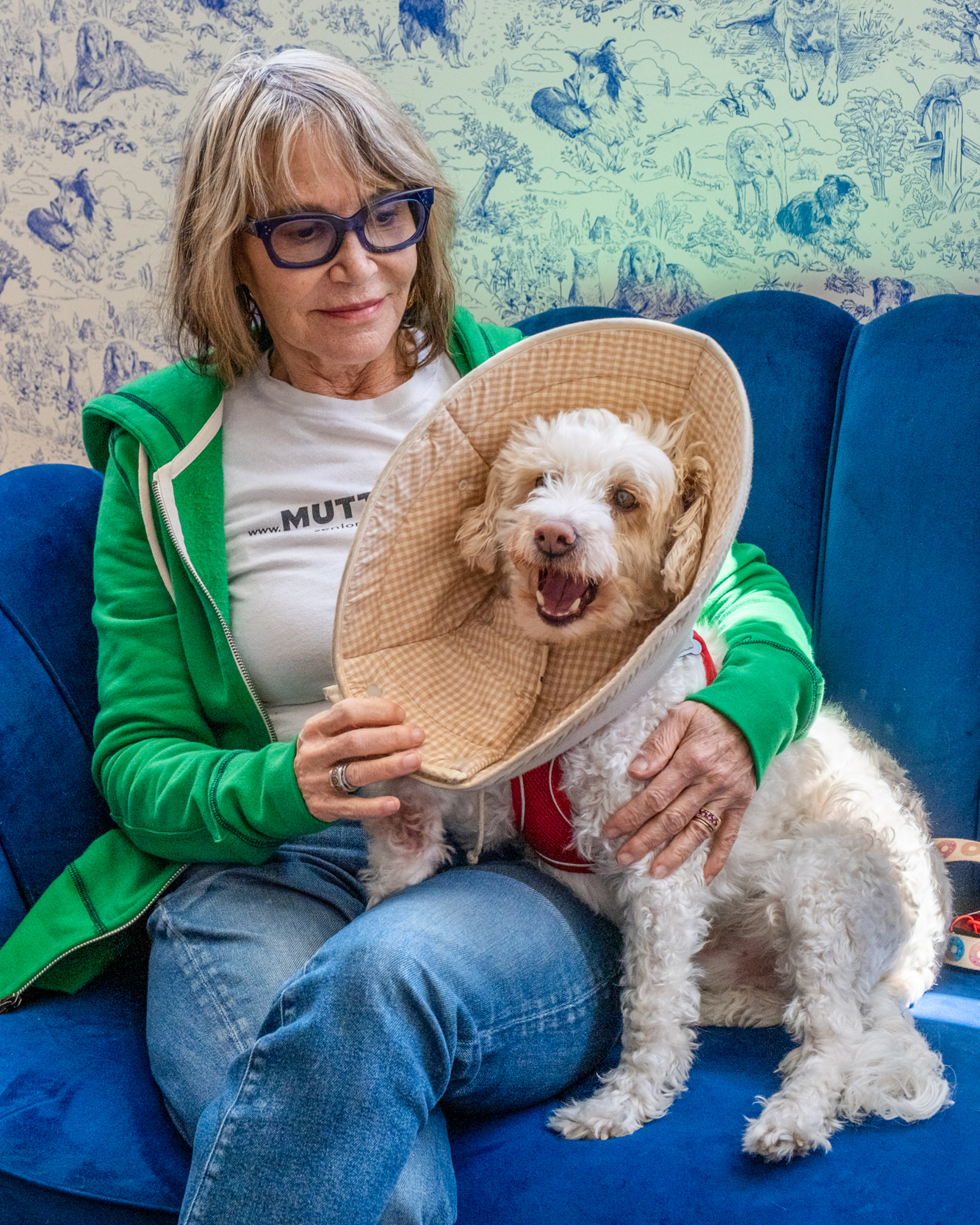 An older woman with glasses sits on a blue couch, holding a small white dog wearing a cone collar, both look content. The background features blue animal illustrations.