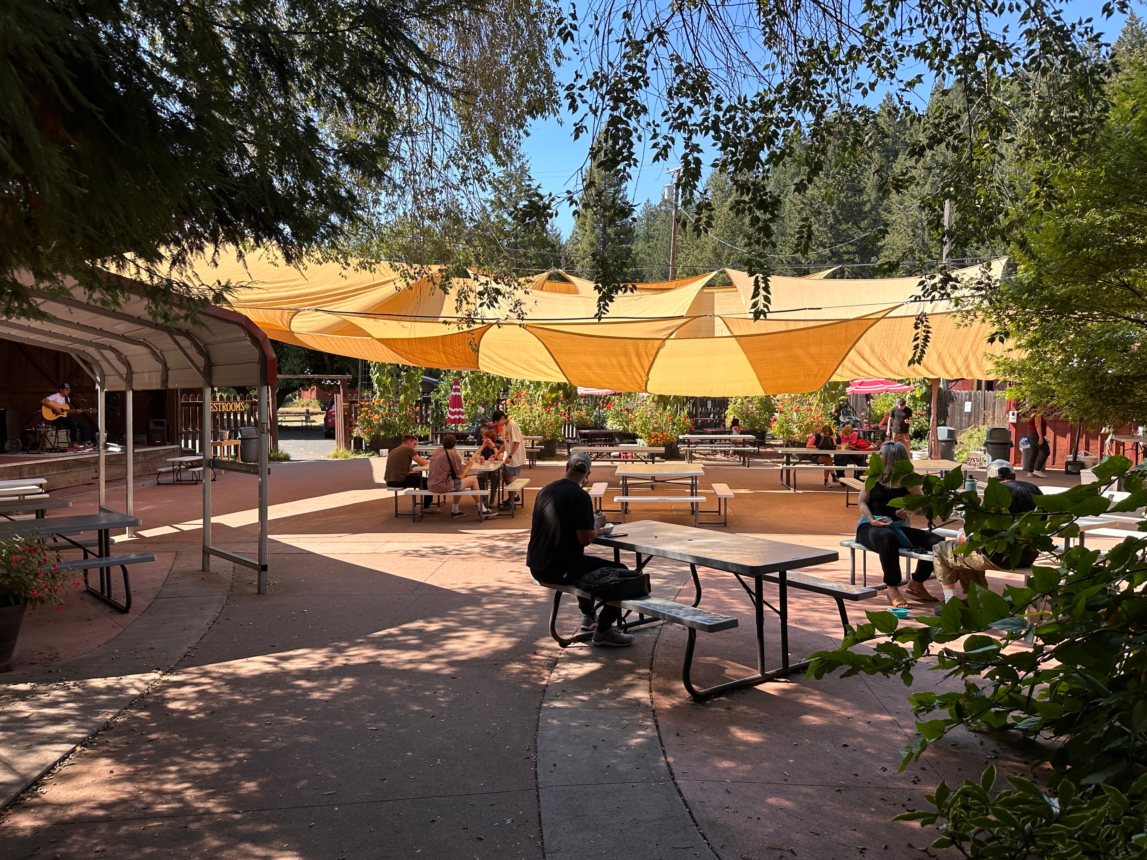 People are seated at picnic tables under yellow shade sails in an outdoor area surrounded by trees. A musician plays guitar on a small stage.