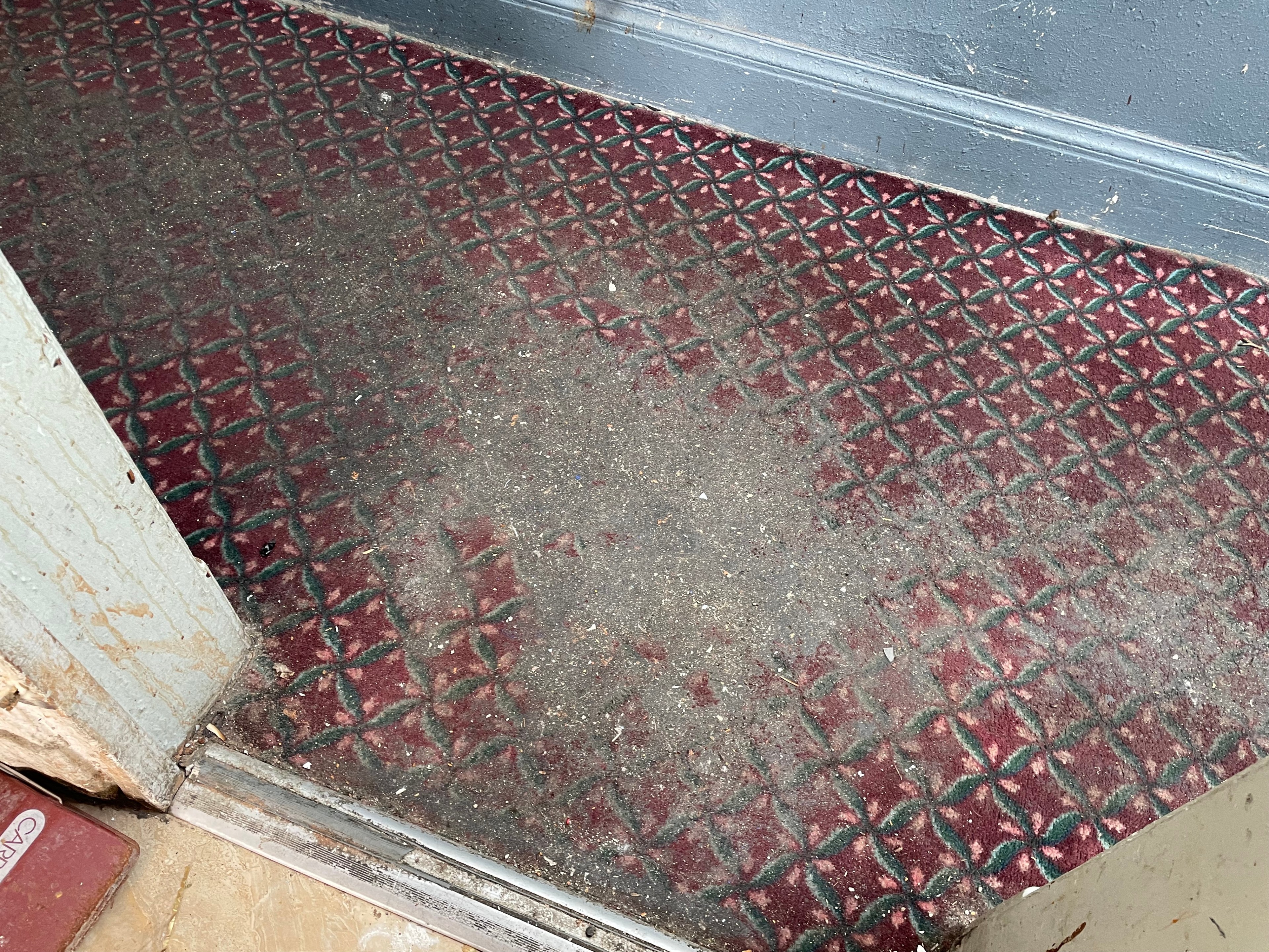 The image shows a section of dirty, worn-out red patterned carpet with what appears to be dust and debris on it, at a doorway with a gray baseboard and chipped white door frame.