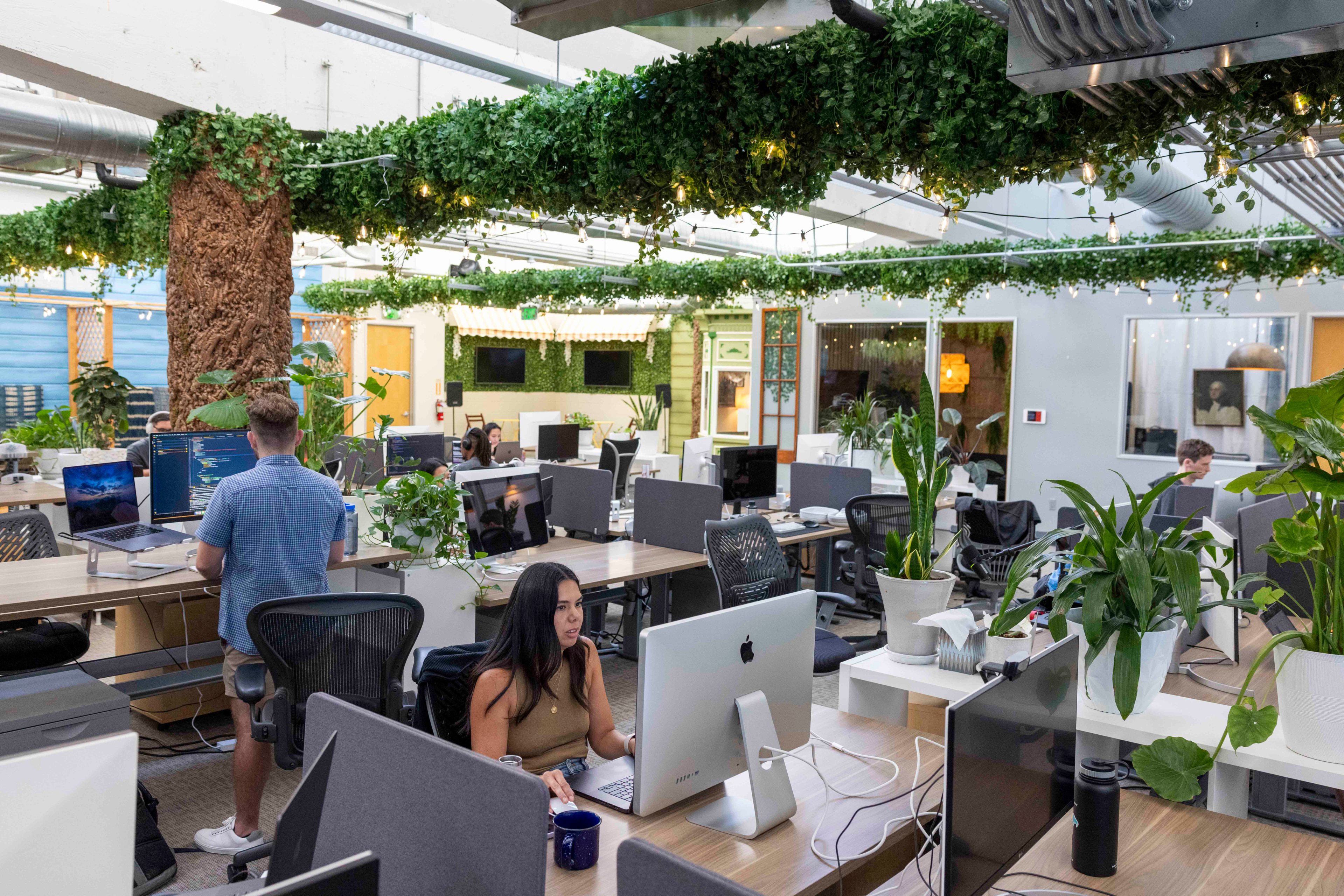 An open office with people working at desks, surrounded by numerous green plants and overhead vines with string lights, creating a lush and inviting environment.