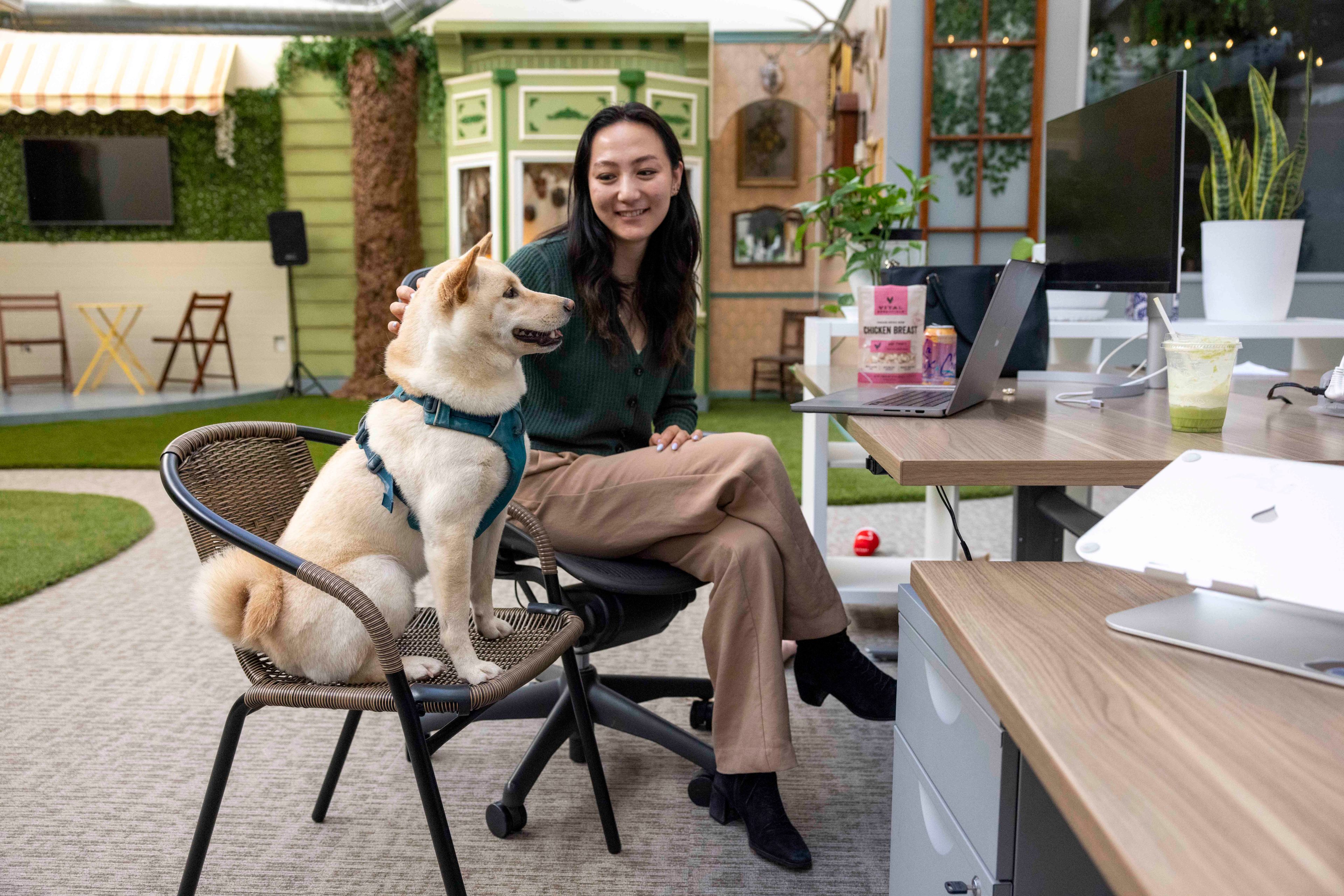 A woman sits at a desk next to an outdoor workspace, gently patting a Shiba Inu dog sitting on a chair beside her; they both face a laptop.