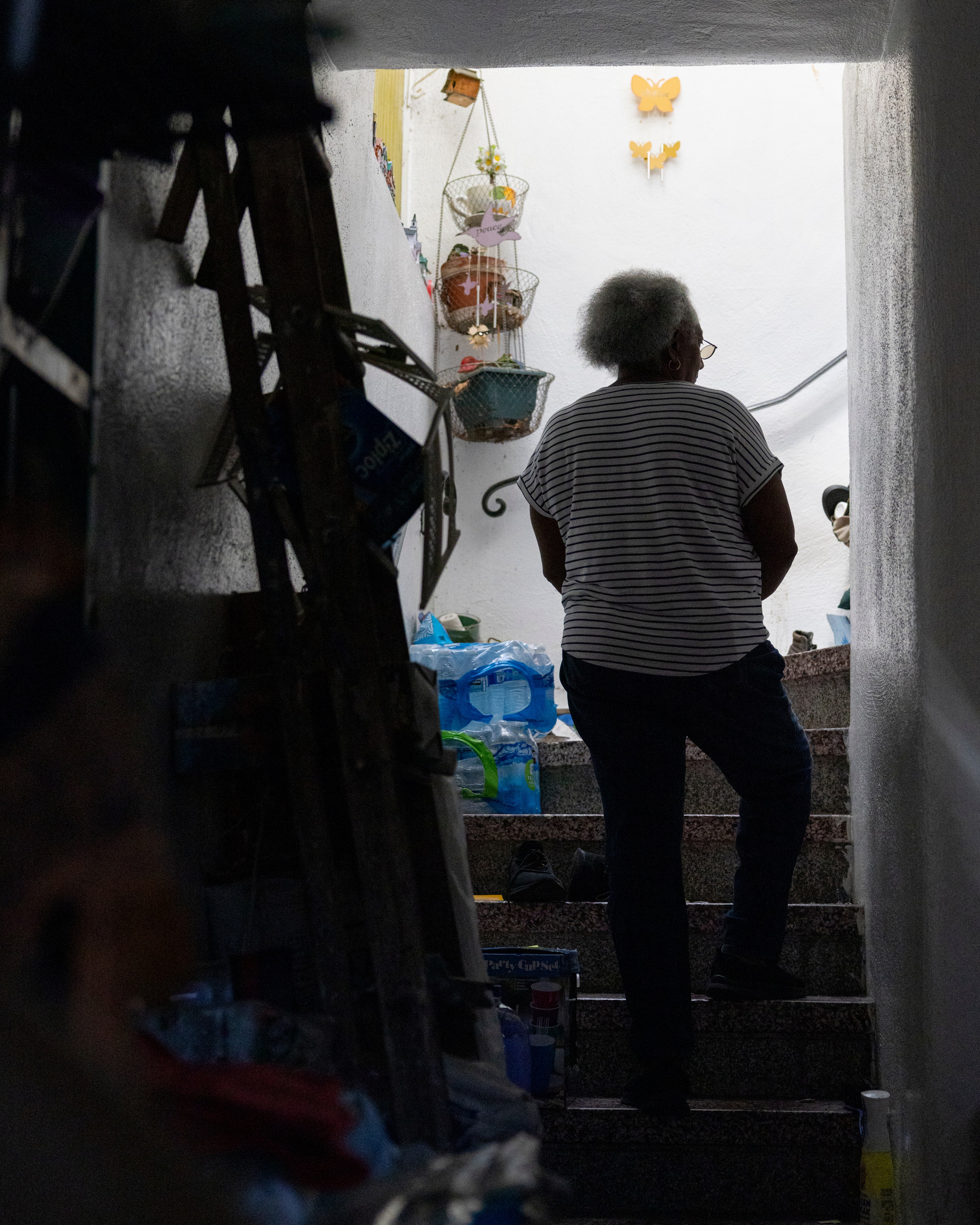 A person with gray hair wearing a striped shirt is walking up a dimly lit staircase, surrounded by household items and plants. Butterflies decorate the wall.