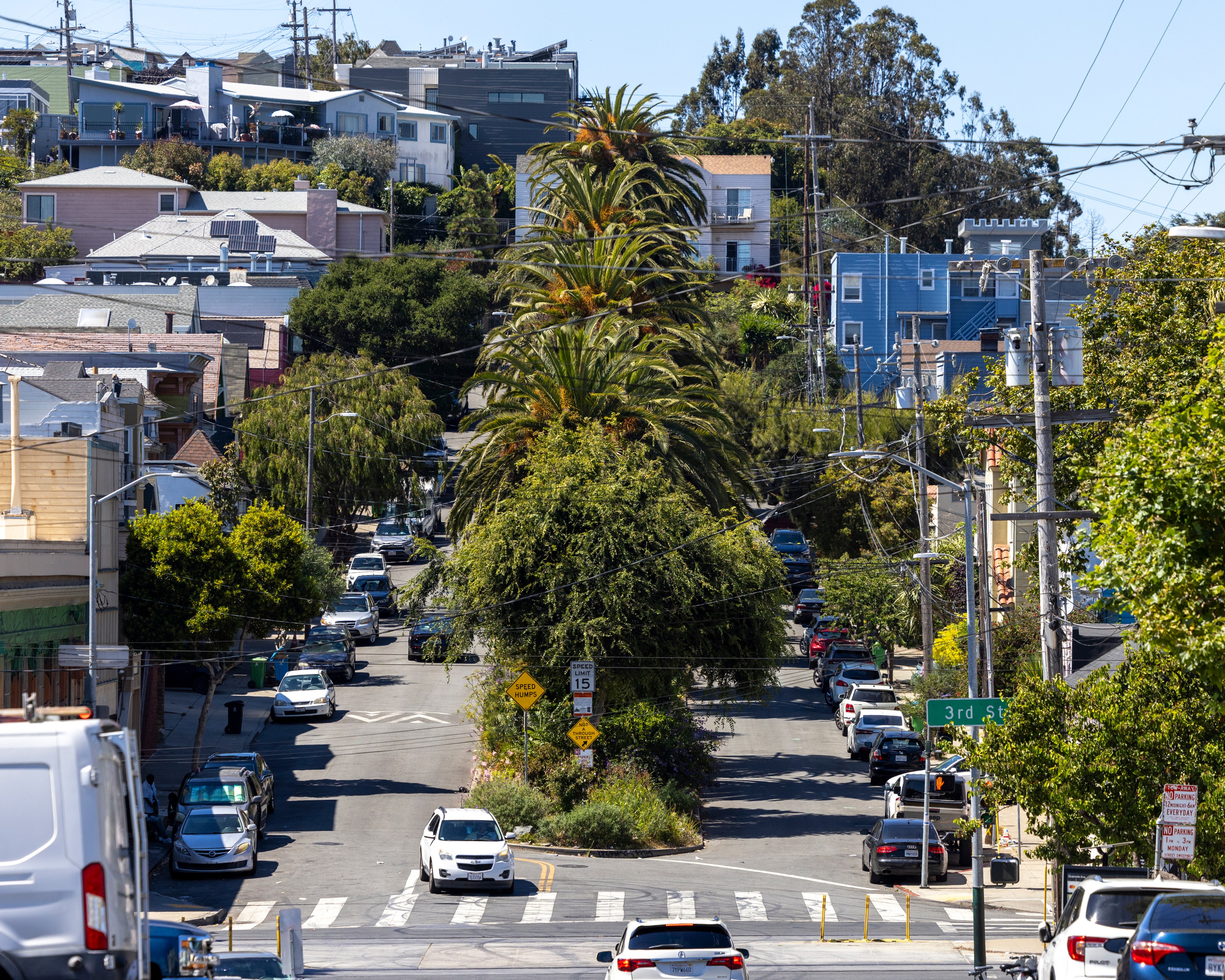 The image shows a steep, leafy urban street with parked cars on both sides, palm trees in the center median, and colorful houses on the hill in the background.