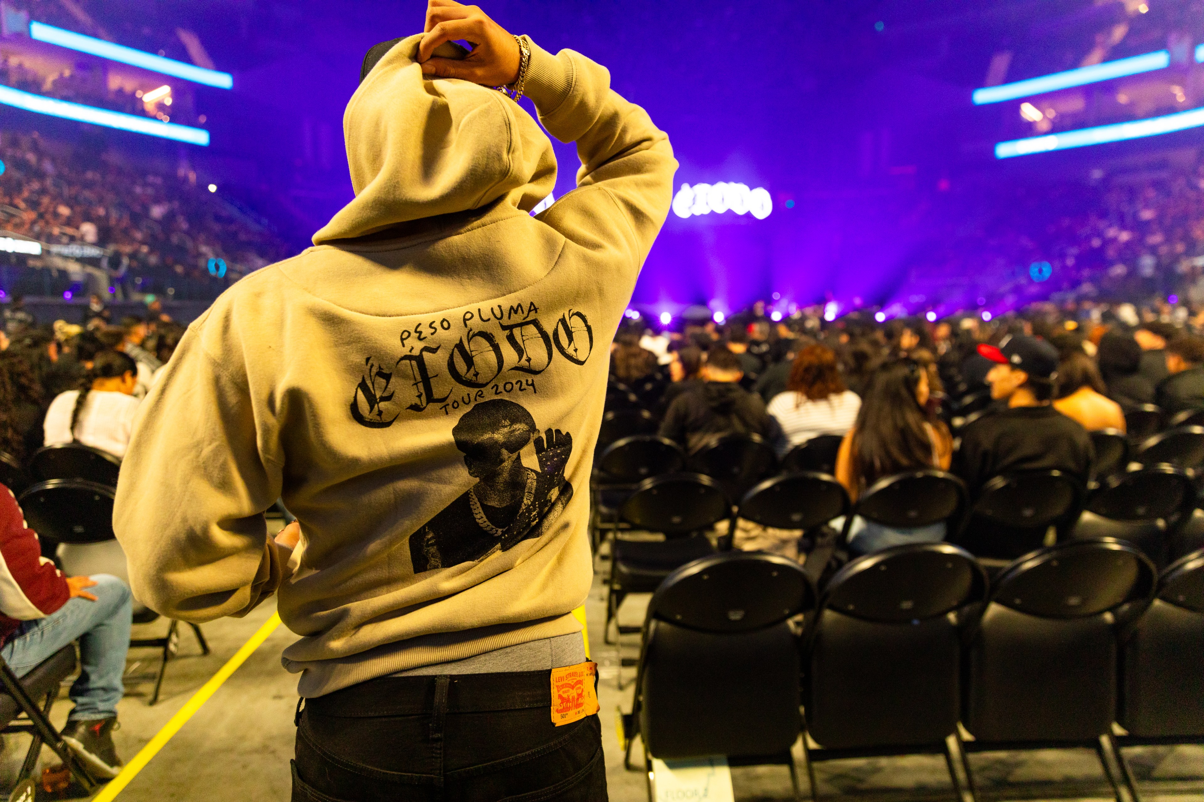 A person wearing a hoodie backs to the camera at a concert, with a stage lit in purple and an audience seated in front of them.