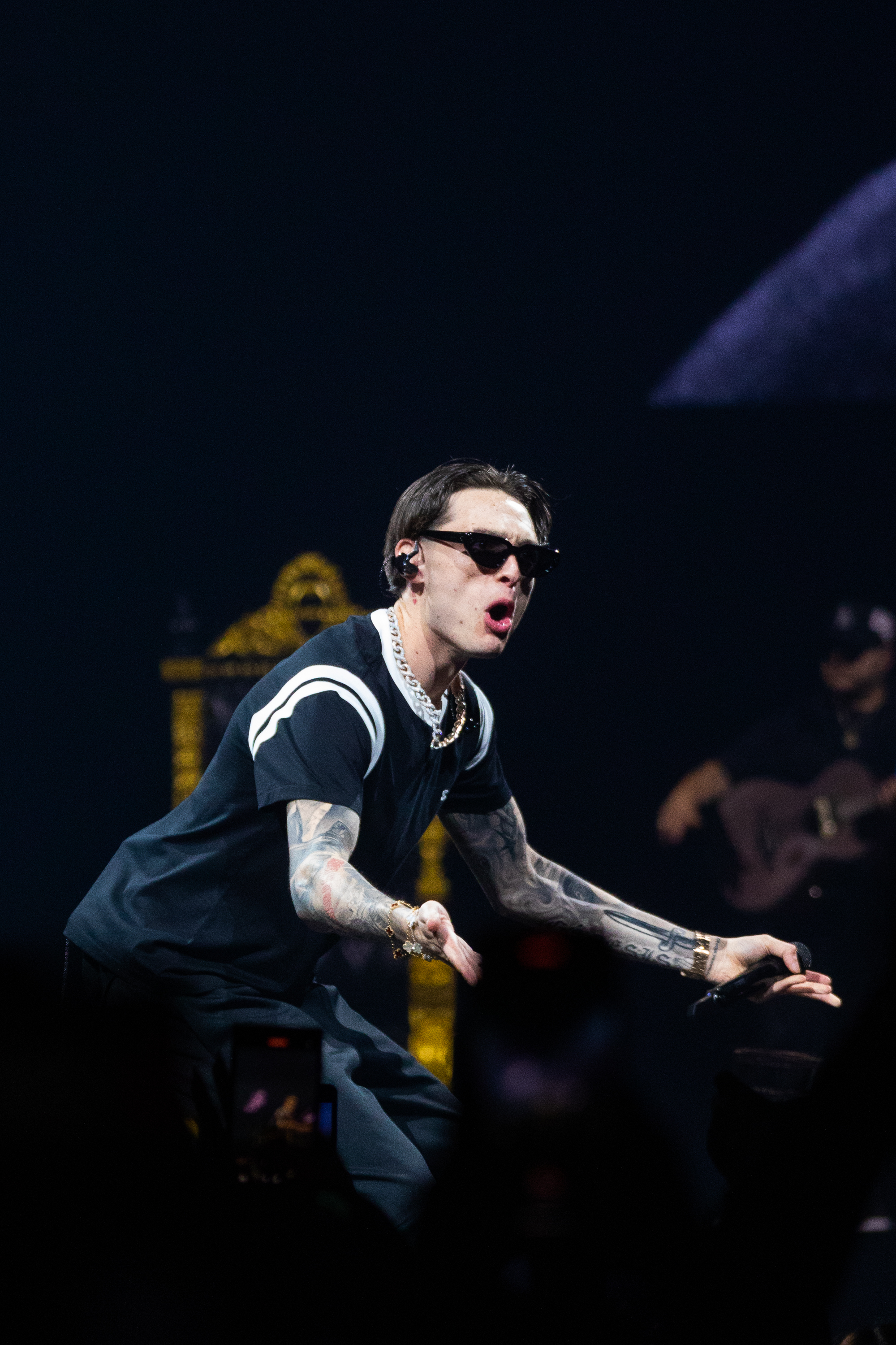 A tattooed man, wearing sunglasses, a black shirt, and a gold chain, performs energetically on stage, singing into a mic with an intense expression. A band member is in the background.