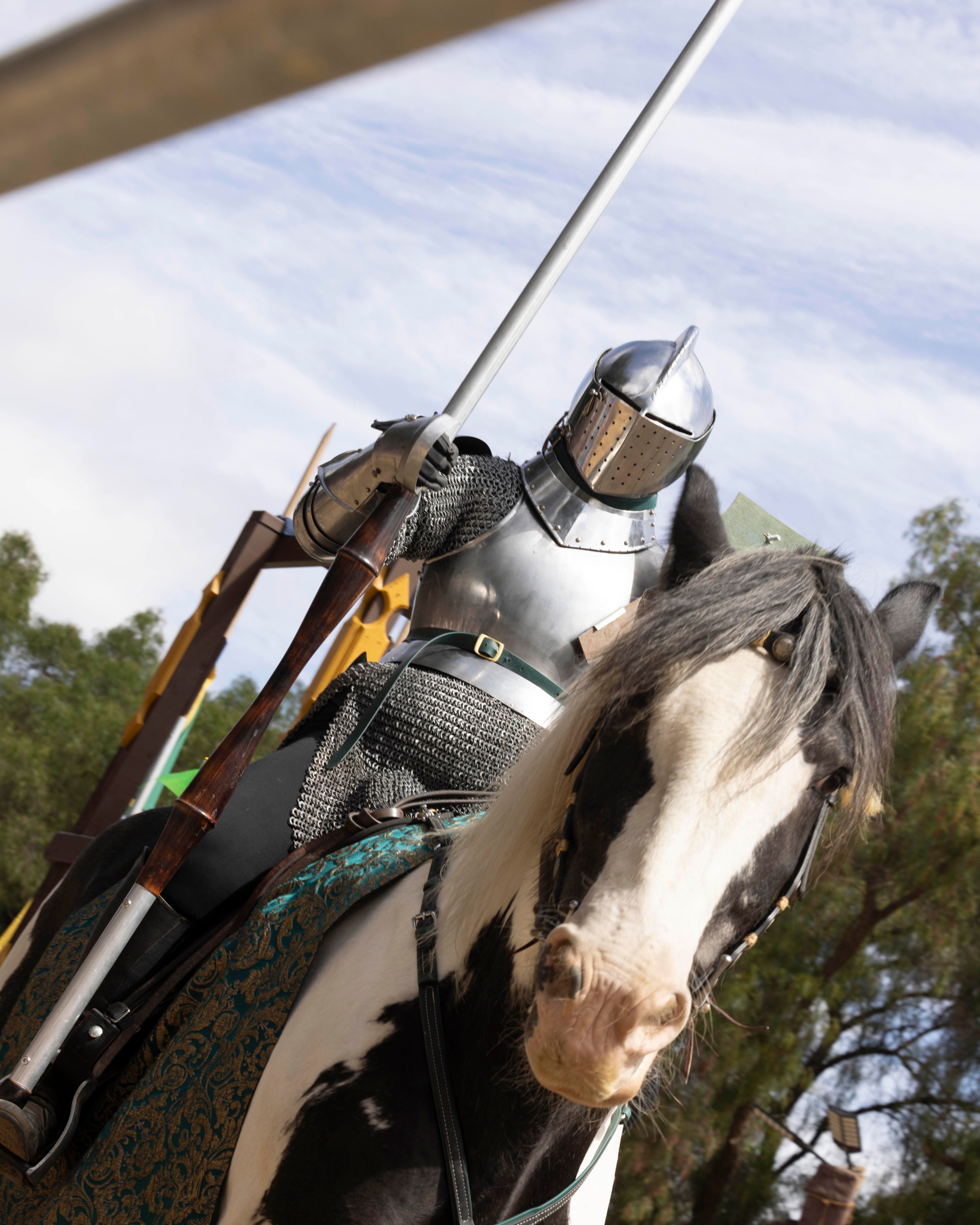 An armored knight on a black-and-white horse holds a lance, set against a backdrop of trees and a partly cloudy sky.